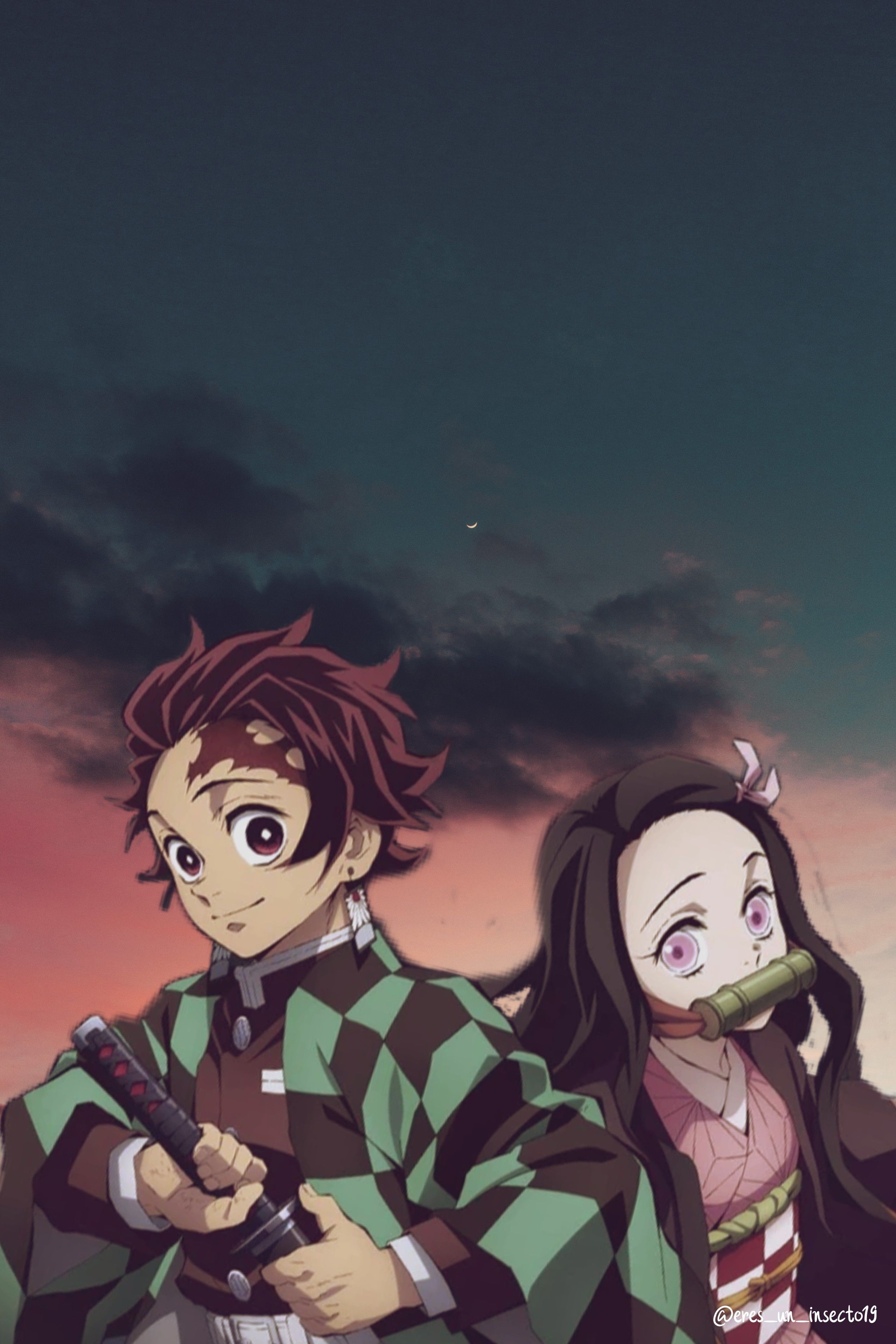 Tanjiro and Nezuko. Cool anime wallpaper, Anime wallpaper phone, Cute anime wallpaper