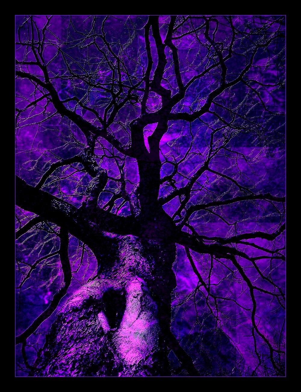 Purple Stuff Wallpapers - Wallpaper Cave