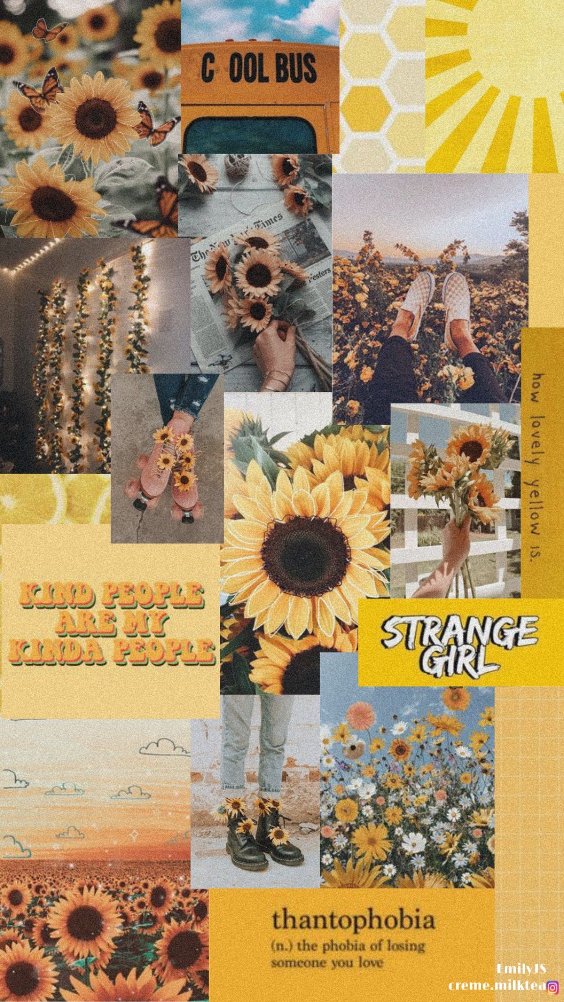 Aesthetic:Sunflower -YELLOW (collage)