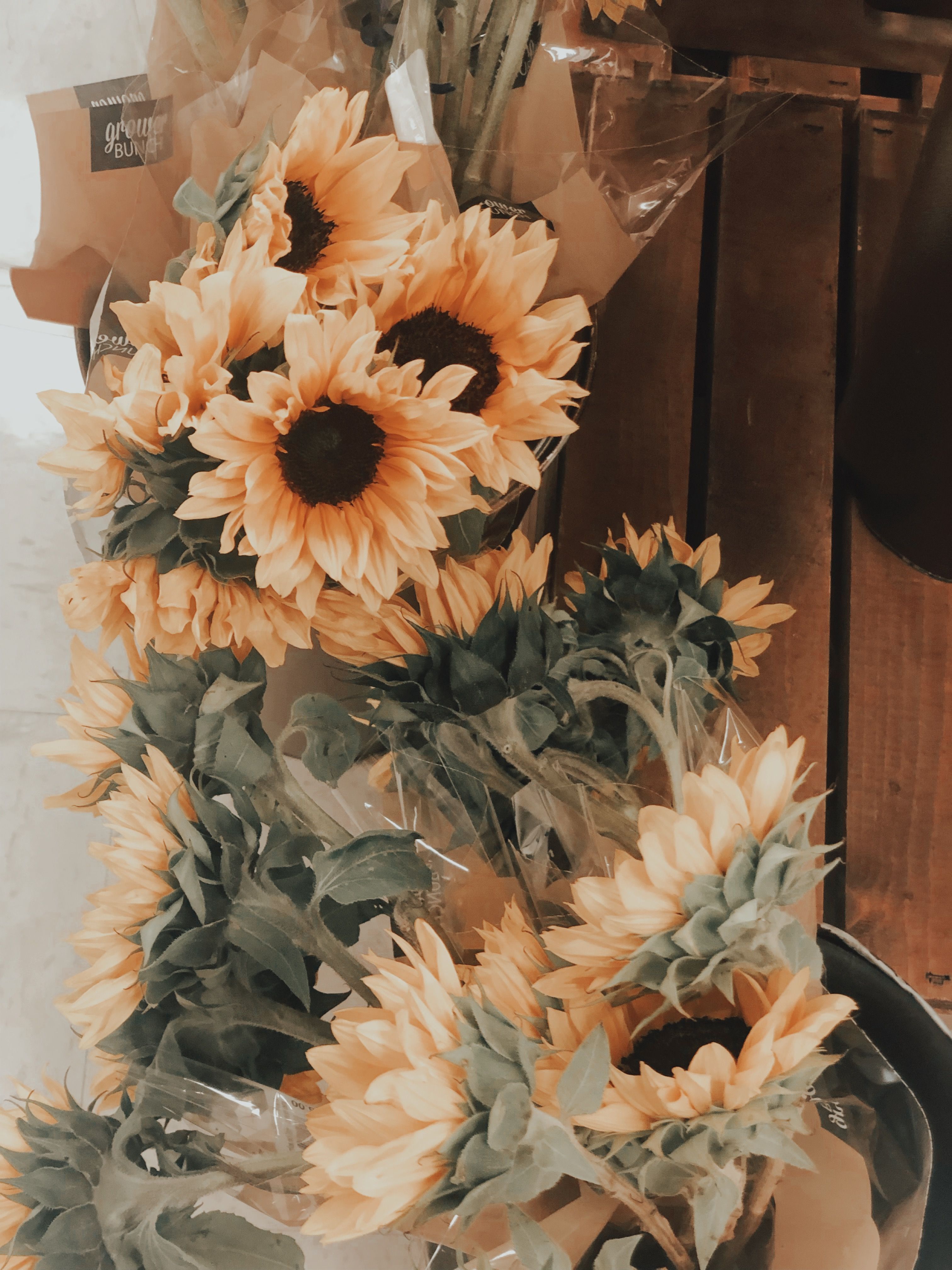 Sunflowers. Flower aesthetic, Sunflower wallpaper, Flower wallpaper