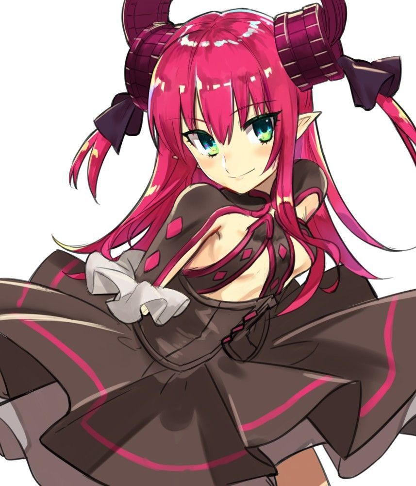 Fate Series Elizabeth Bathory