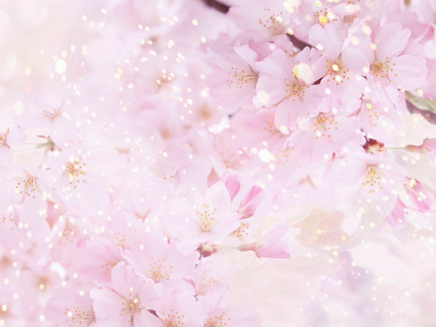 Beautiful Floral Background
