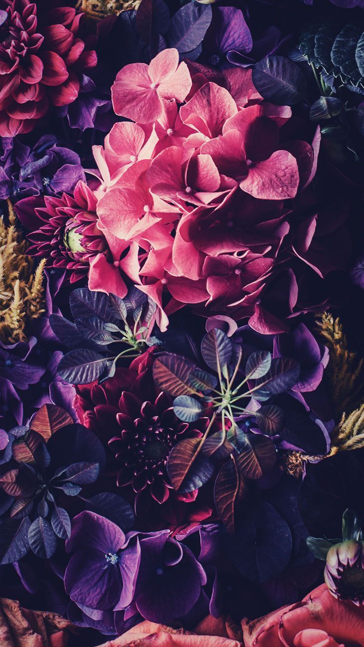 Floral iPhone Wallpaper by PreppyWallpaper. Floral wallpaper iphone, Floral iphone background, Flower wallpaper
