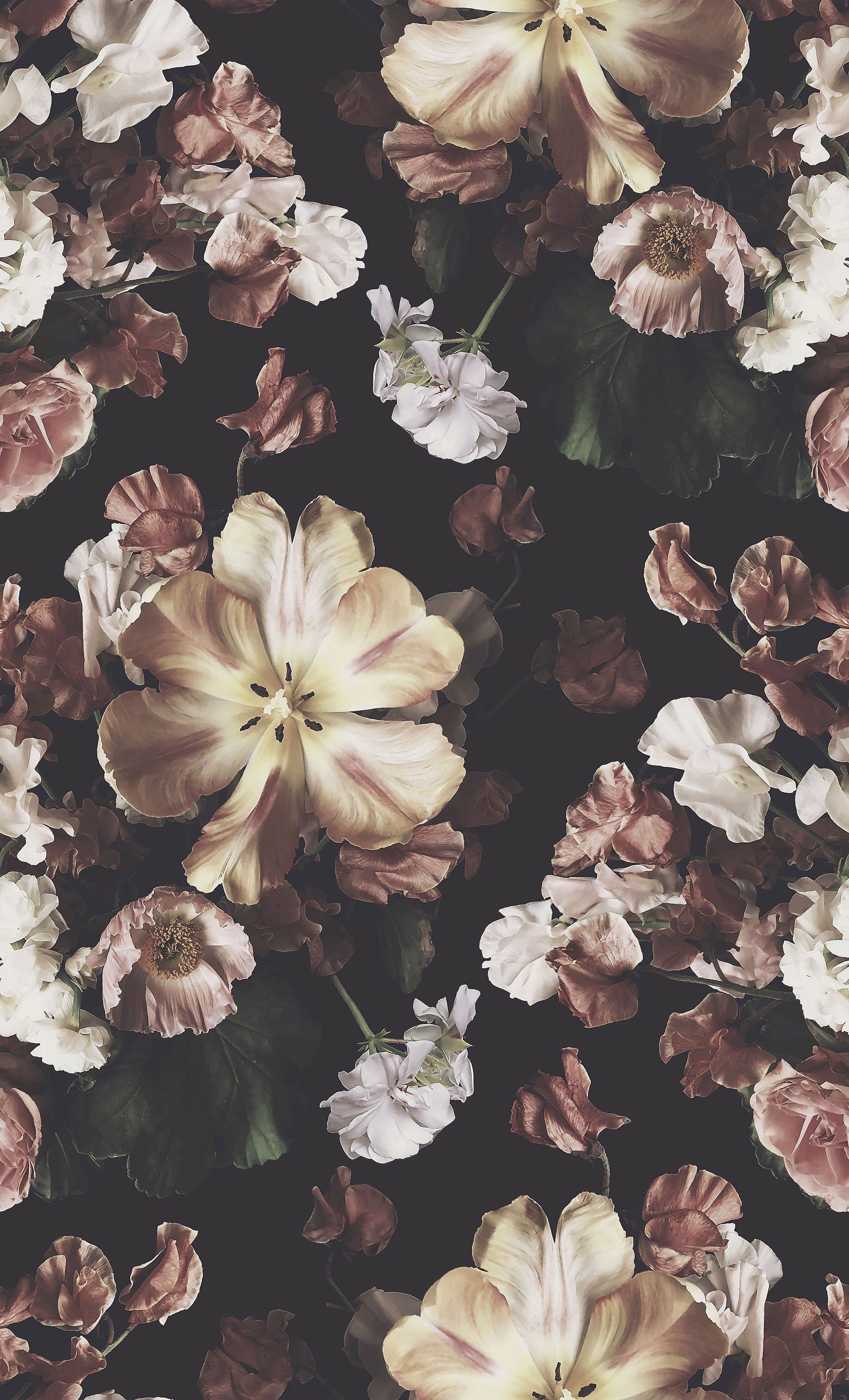 Reese Dark Floral Wallpaper. Ashley Woodson Bailey