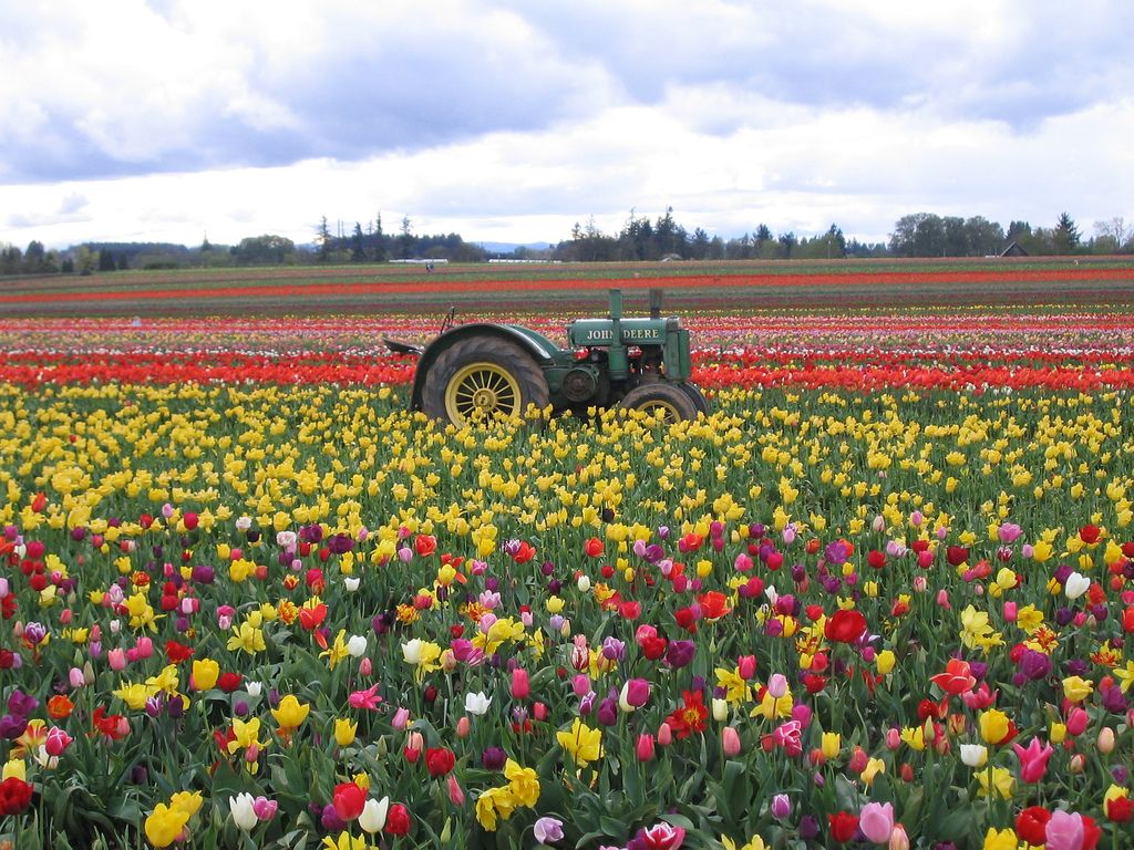 Spring Tractors Wallpapers - Wallpaper Cave