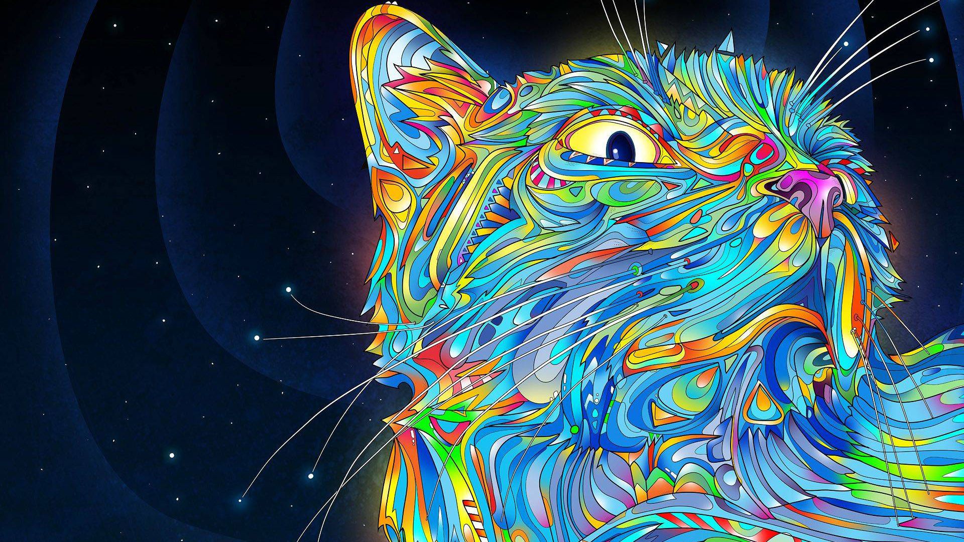 Hippie Cat HD Hippie Wallpaper