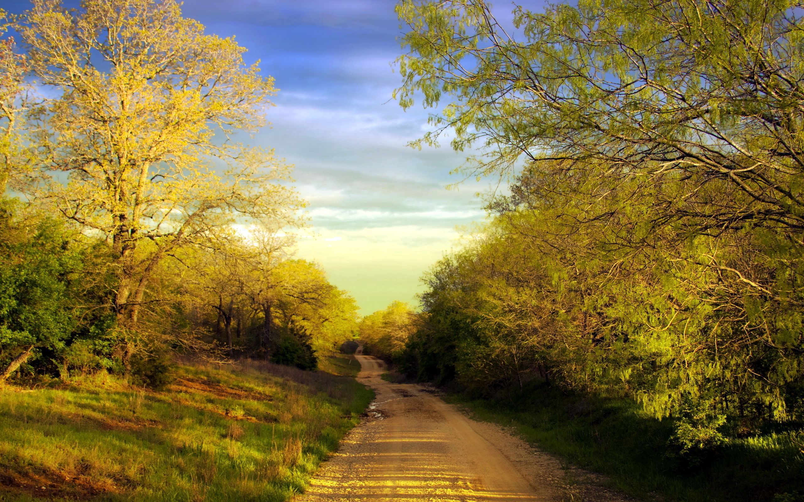 Download wallpaper 2560x1600 road, soil, country, trees, spring, pools HD background