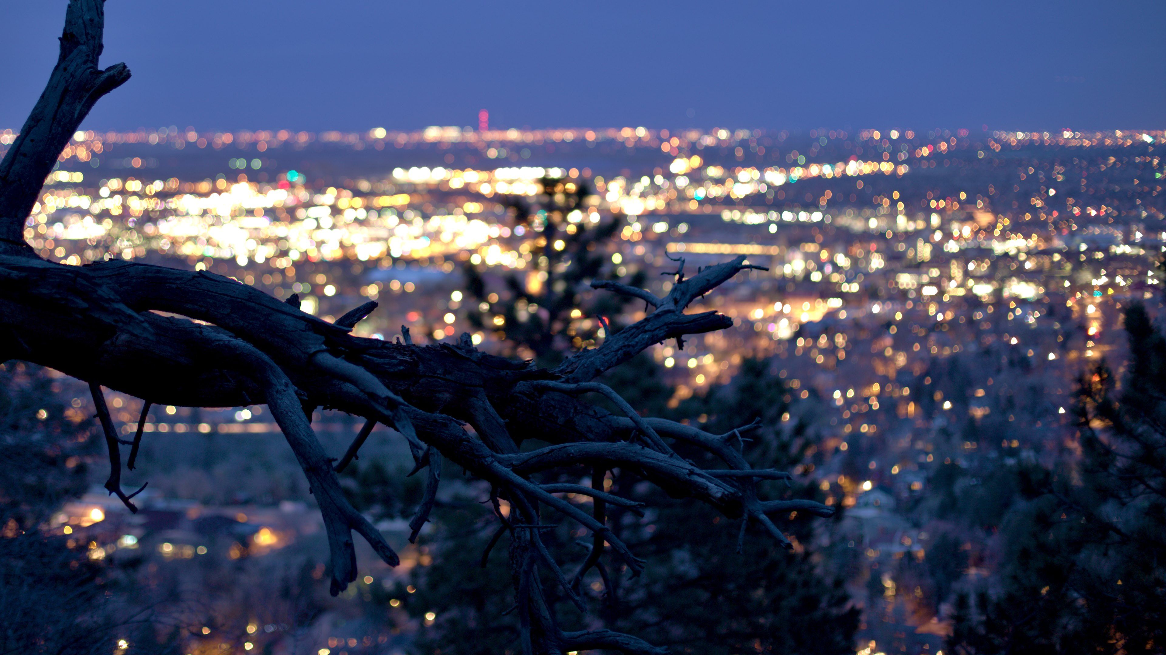 Free download Dry tree with the city lights in background [3840x2160] for your Desktop, Mobile & Tablet. Explore City Lights Background. City Lights at Night Wallpaper, City Light Wallpaper