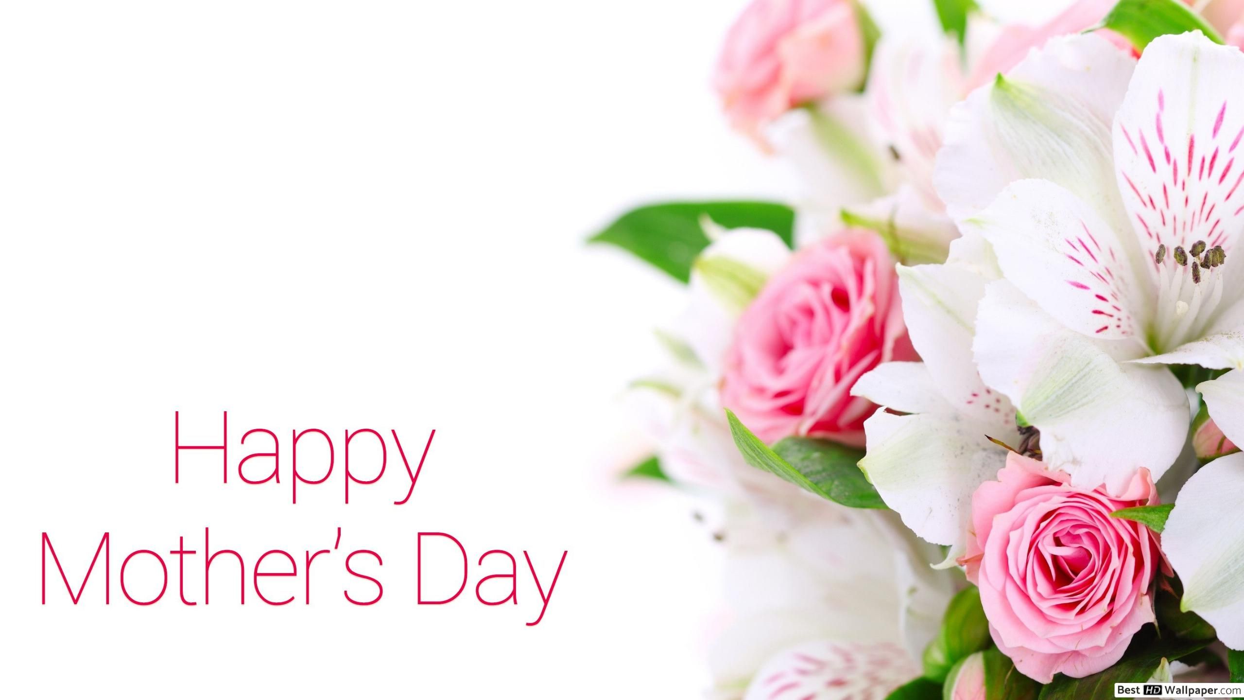 Mother's Day Note Gift Flower HD wallpaper download