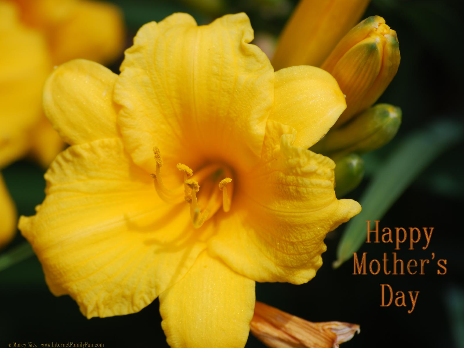 Free Christian Wallpaper: Happy Mothers Day Wishes. Beautiful Flower Wallpaper