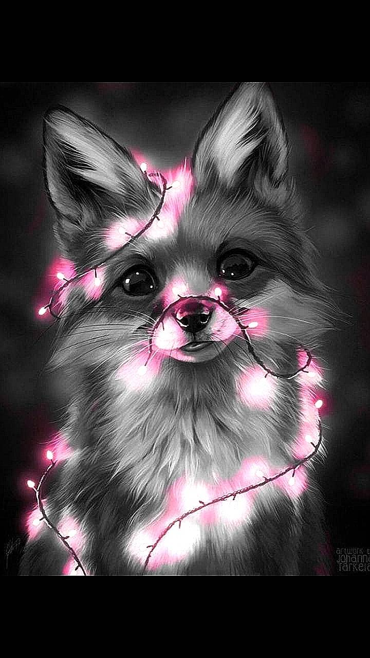 Fox pink wallpaper