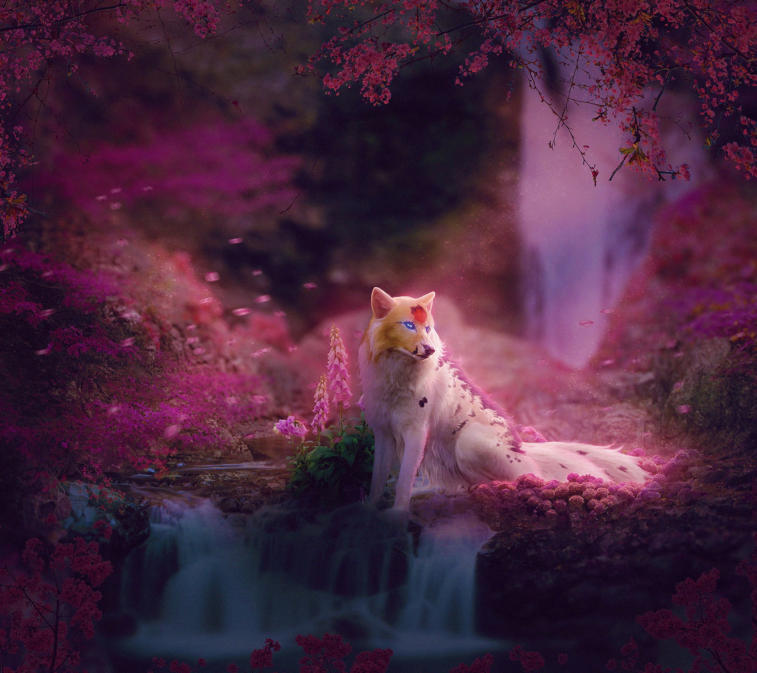 Fox Colorful Art, HD Artist, 4k Wallpaper, Image, Background, Photo and Picture