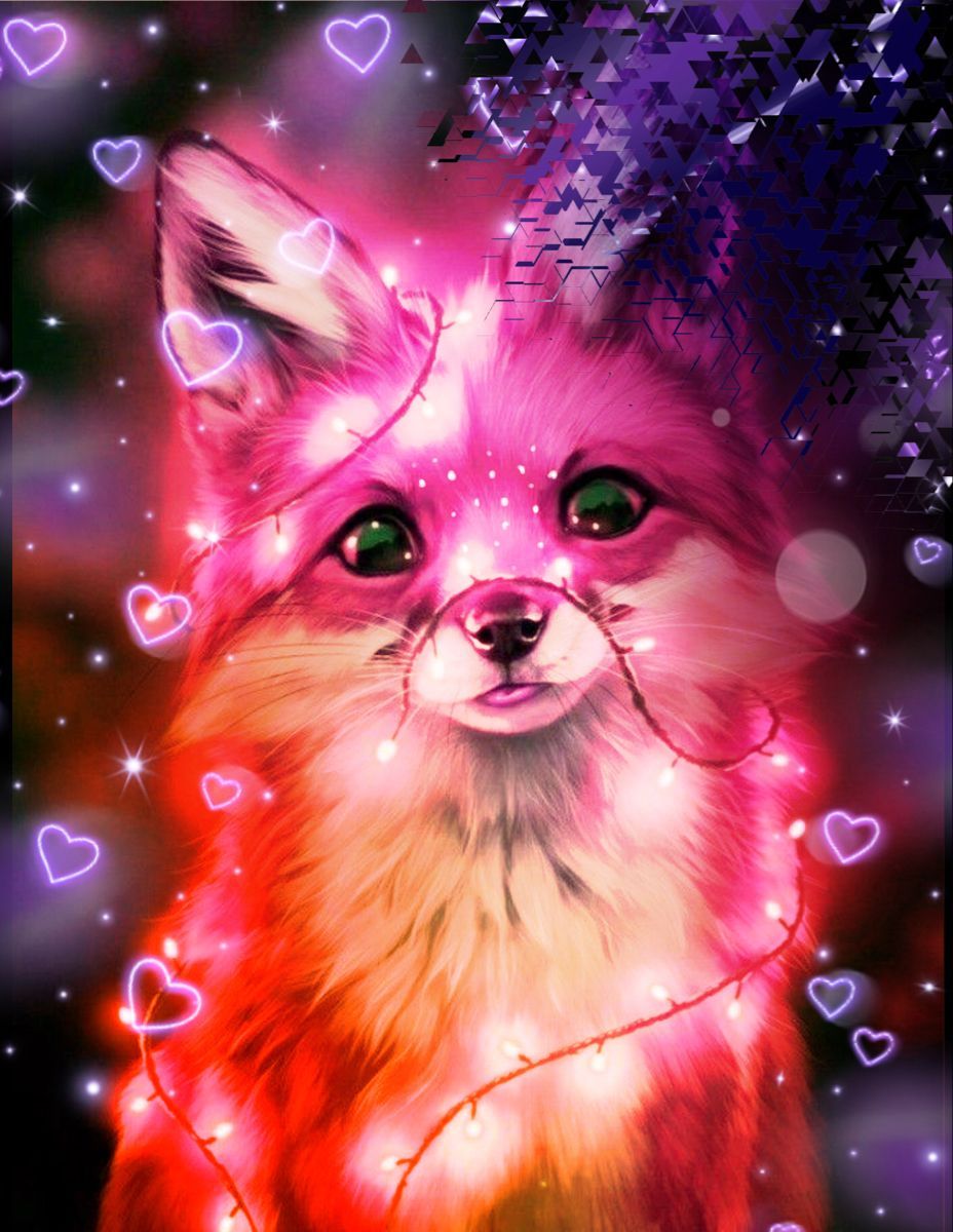 Fox Cute Wallpaper Free HD Wallpaper
