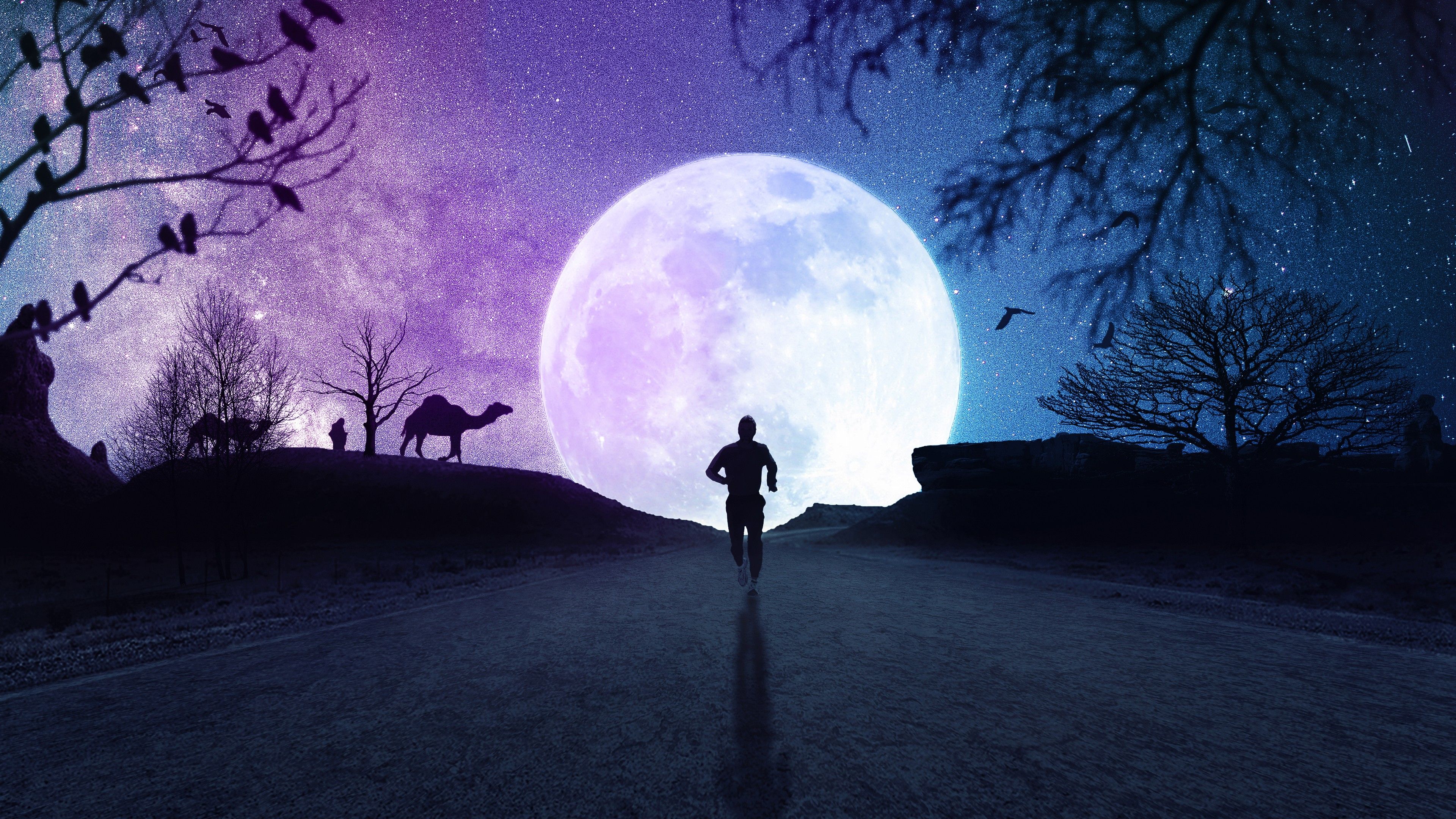 Full moon 4K Wallpaper, Silhouette, Running, Starry sky, Night, Road, Fantasy