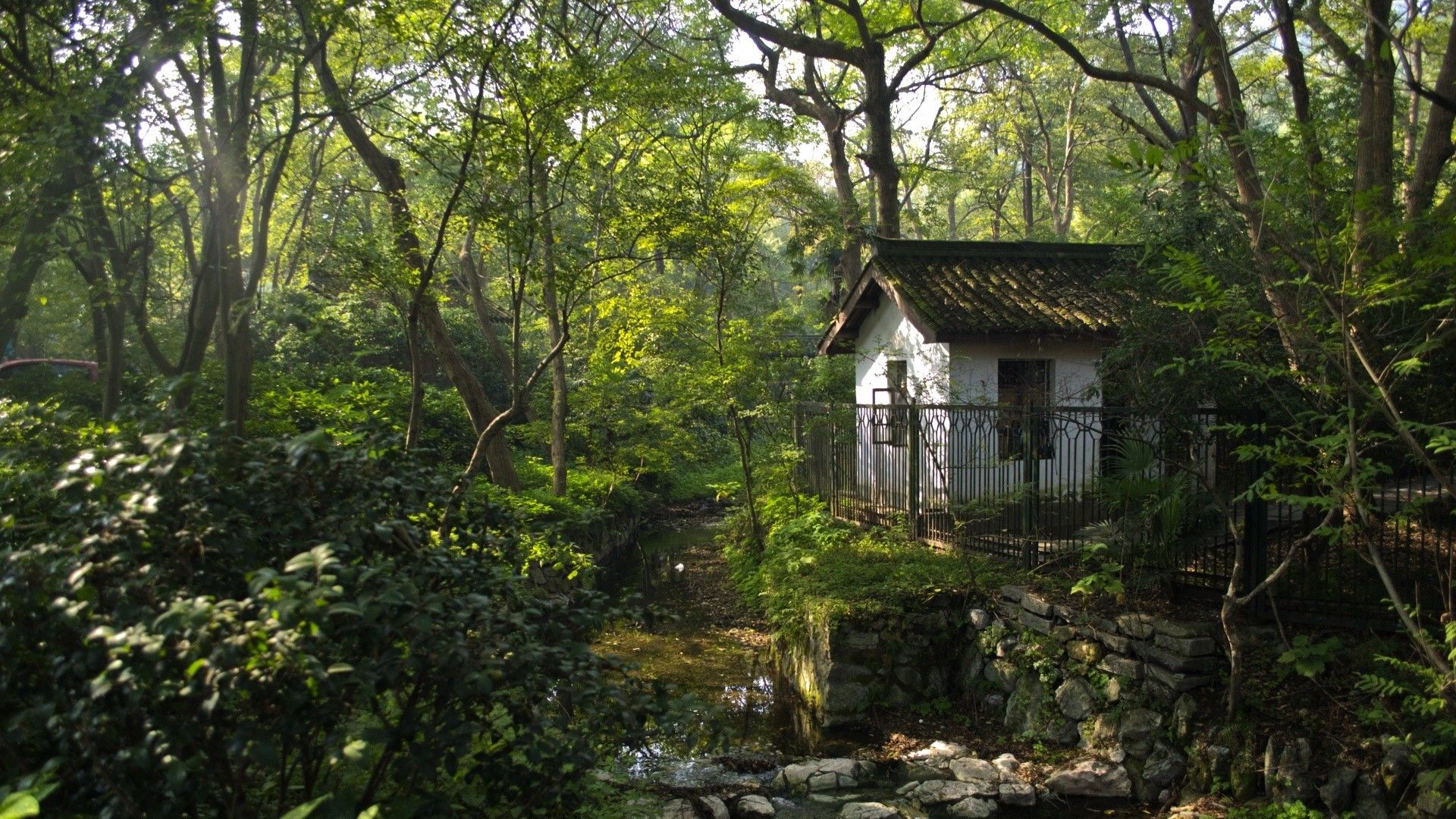 1920x1080 photography nature forest landscape trees house alone rocks branch plants wallpaper JPG 771 kB