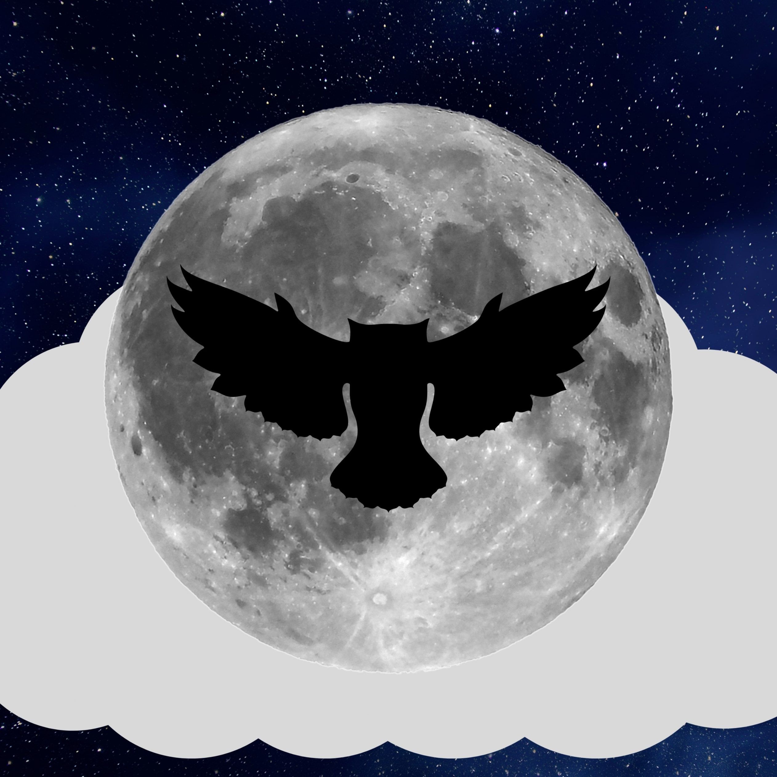 Night Owl Full Moon iPad Wallpaper iPad Wallpaper 4k iPad Wallpaper 5k free download iPad Pro, iPad Mini, iPad Air, iOS, iPadOS, Parallax, iPad retina Wallpaper