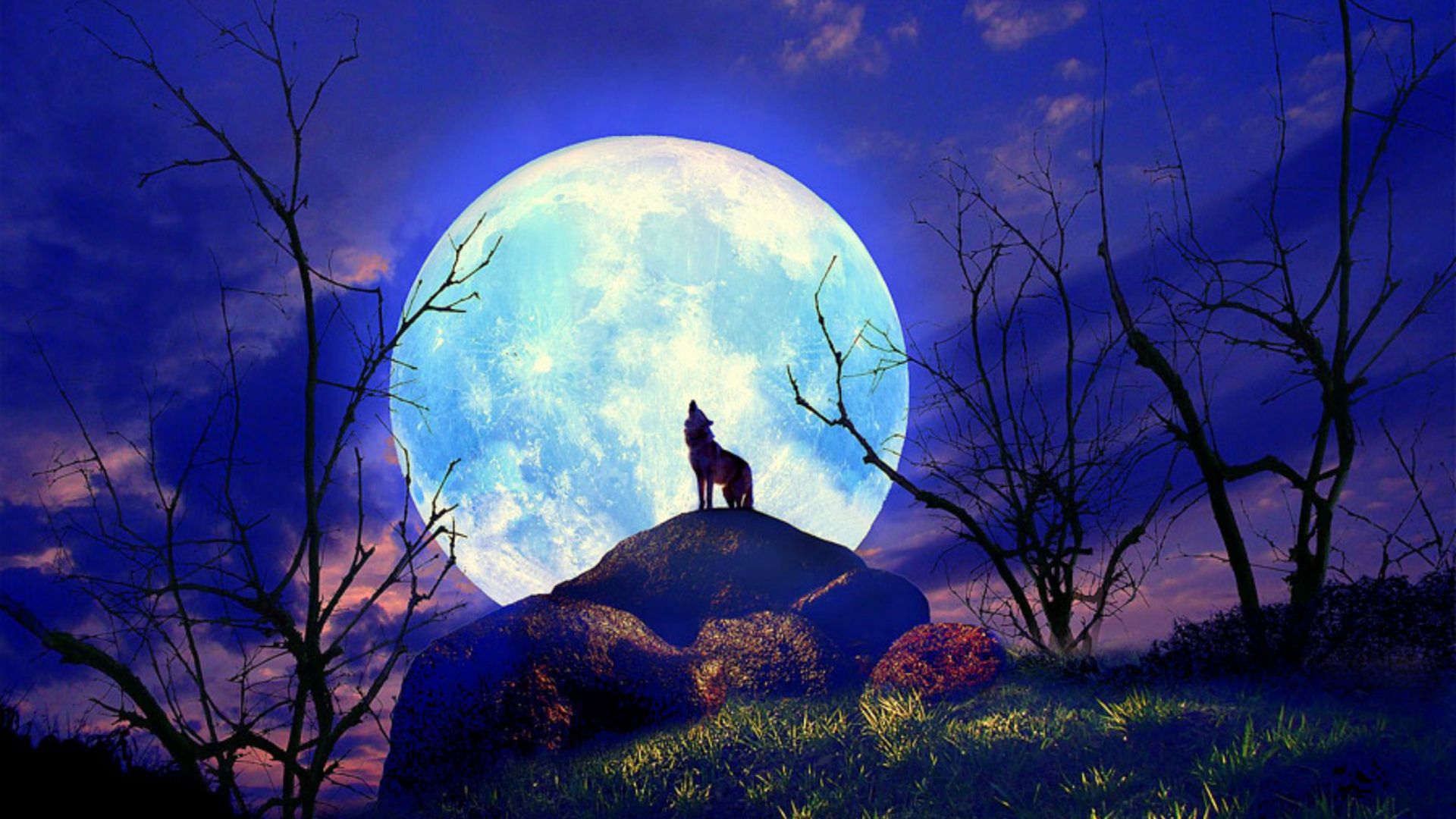 Beautiful Full Moon Wallpaper