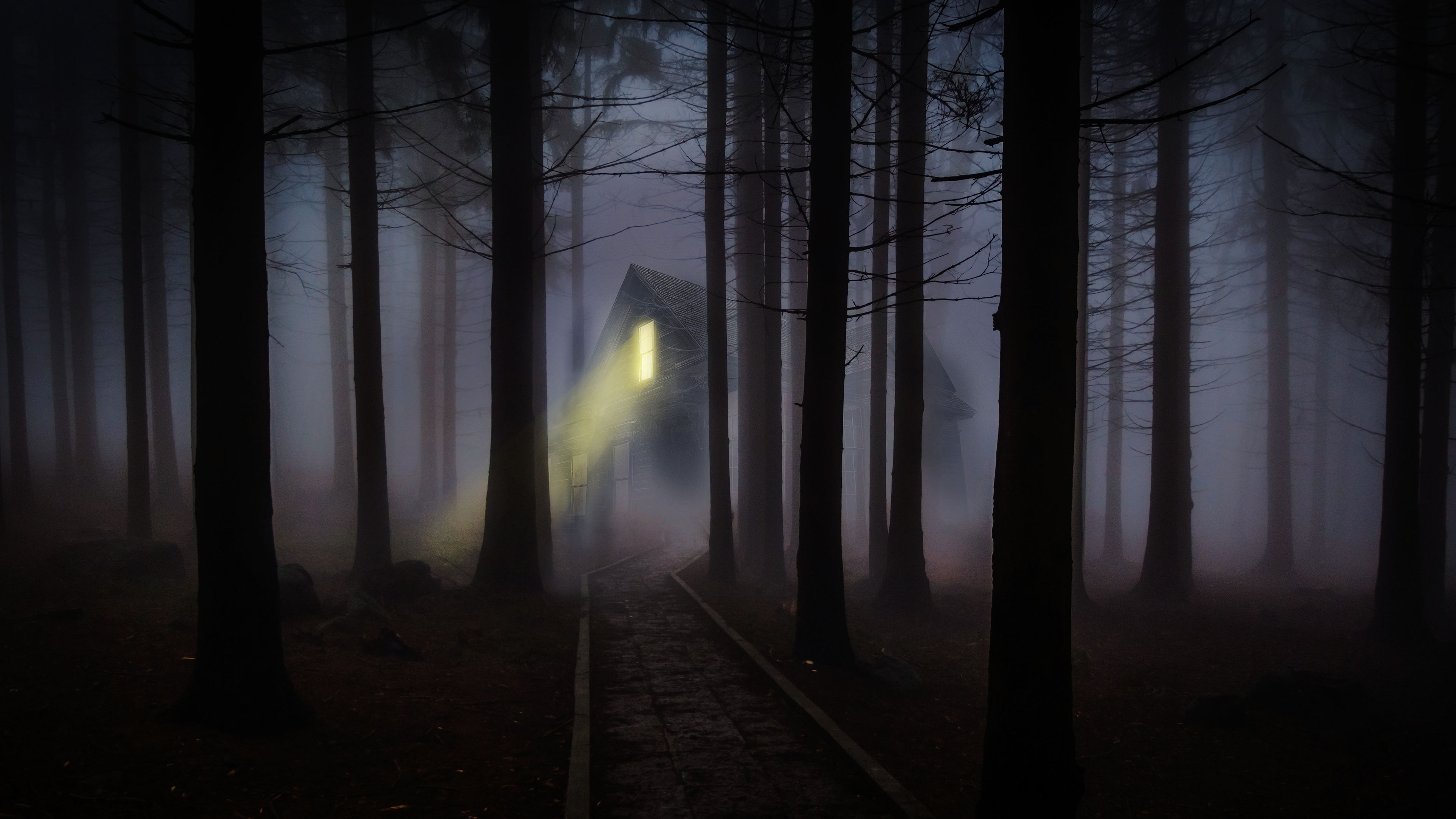 Foggy Night Wallpaper 4K