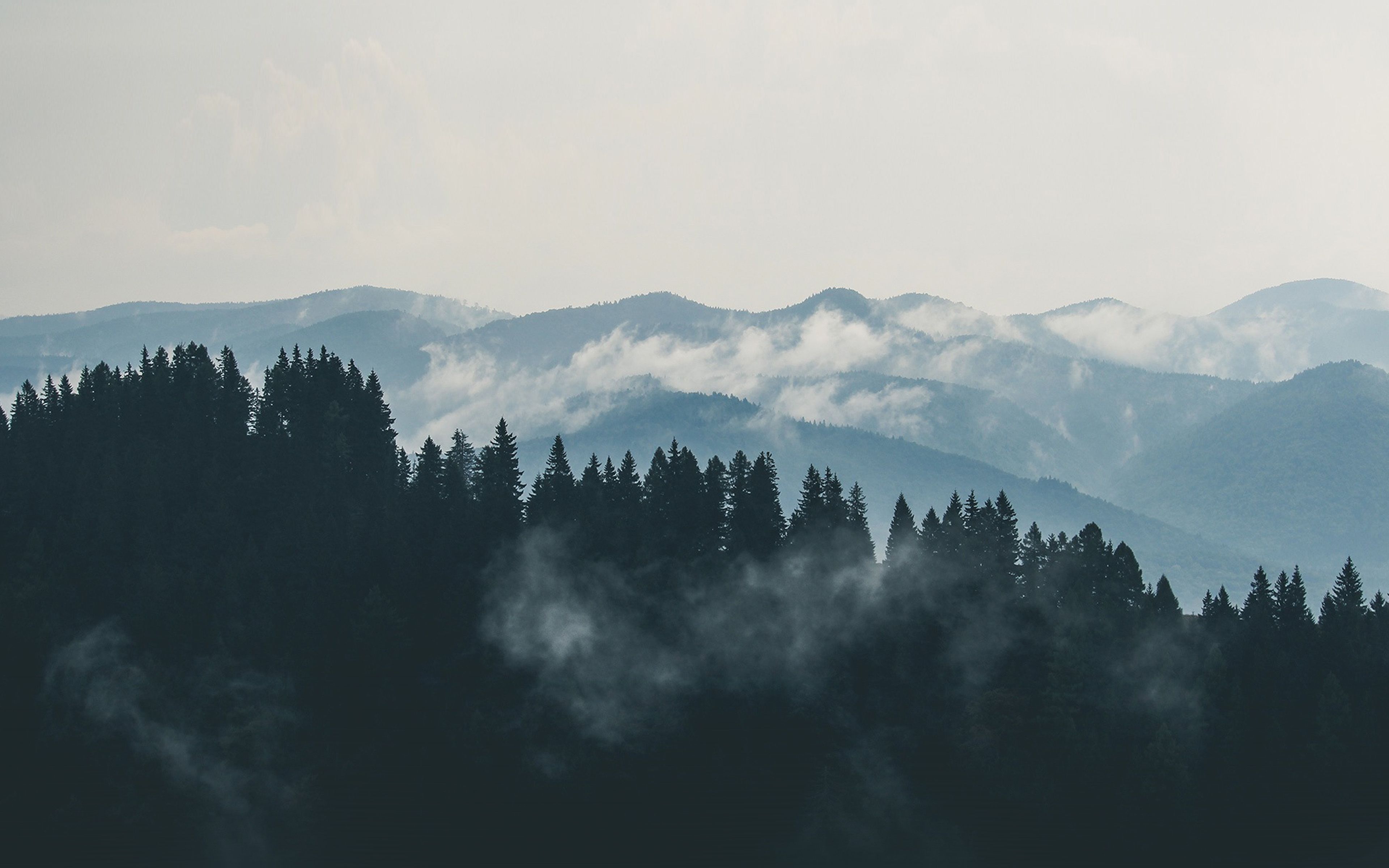 wallpaper for desktop, laptop. mountain fog nature view wood forest