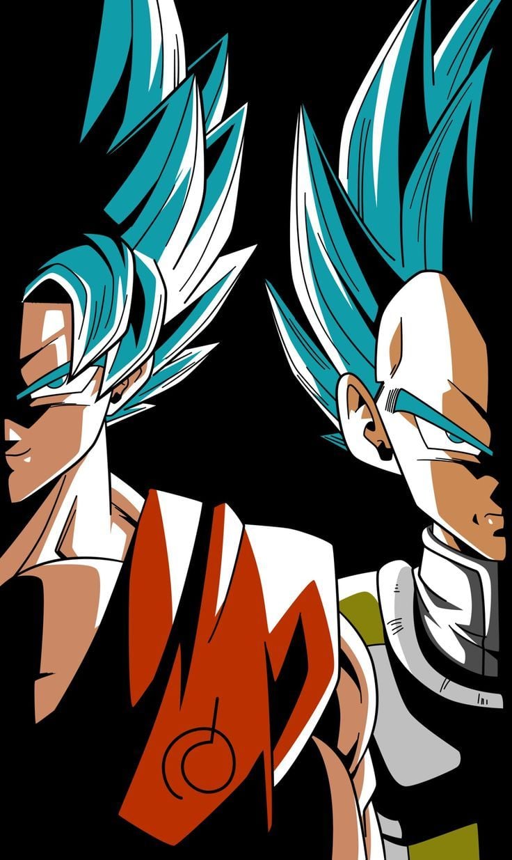 Super Saiyajin Blue. Kakaroto (Goku) & Vegeta. Imagem dragon, Dragon ball gt, Dragon ball