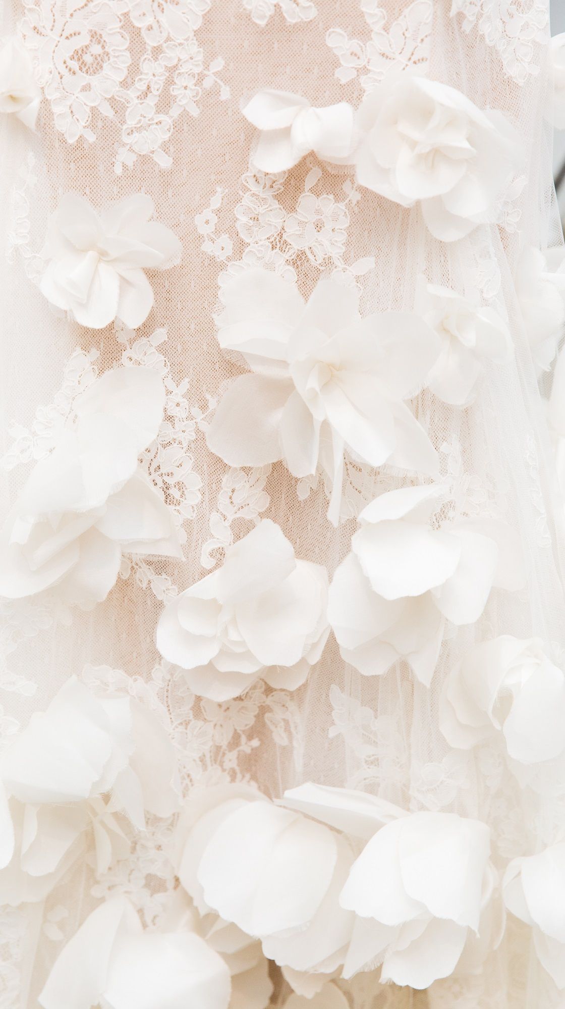 Marchesa bridal. Flower phone wallpaper, White aesthetic, Marchesa bridal