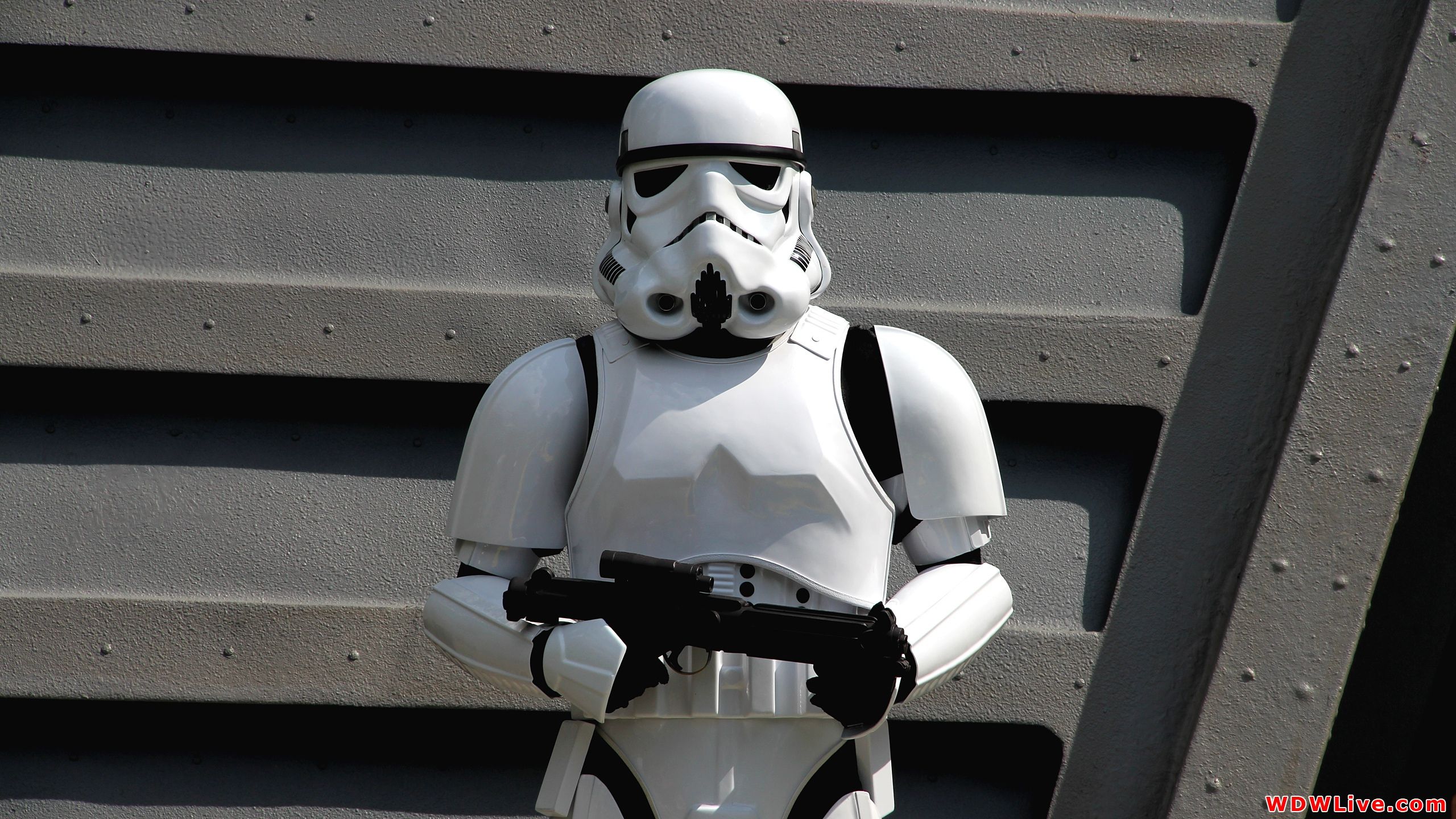 Imperial Stormtrooper Wallpaper