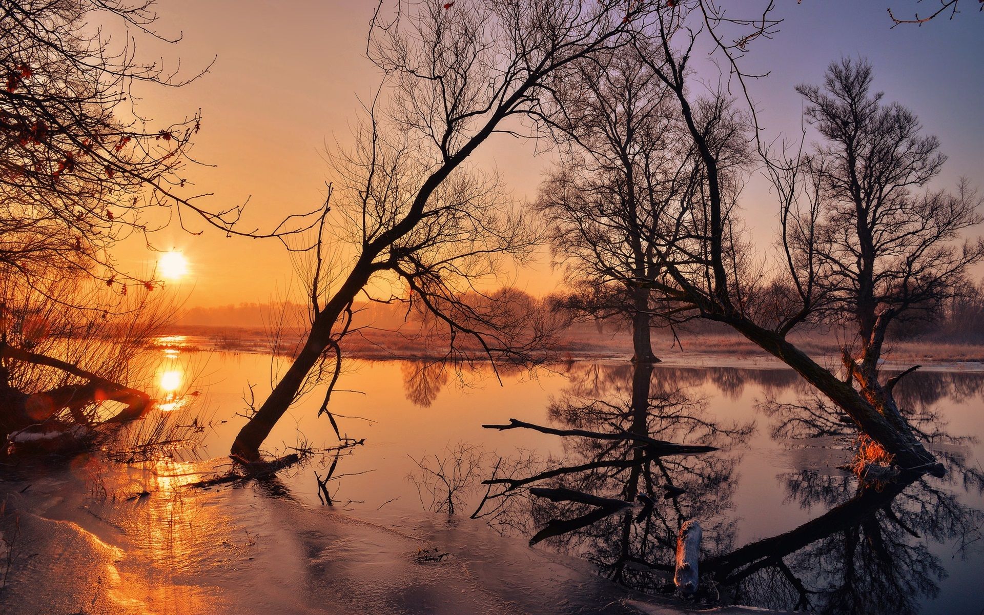Wallpaper Morning, trees, river, sunrise, fog 1920x1200 HD Picture, Image