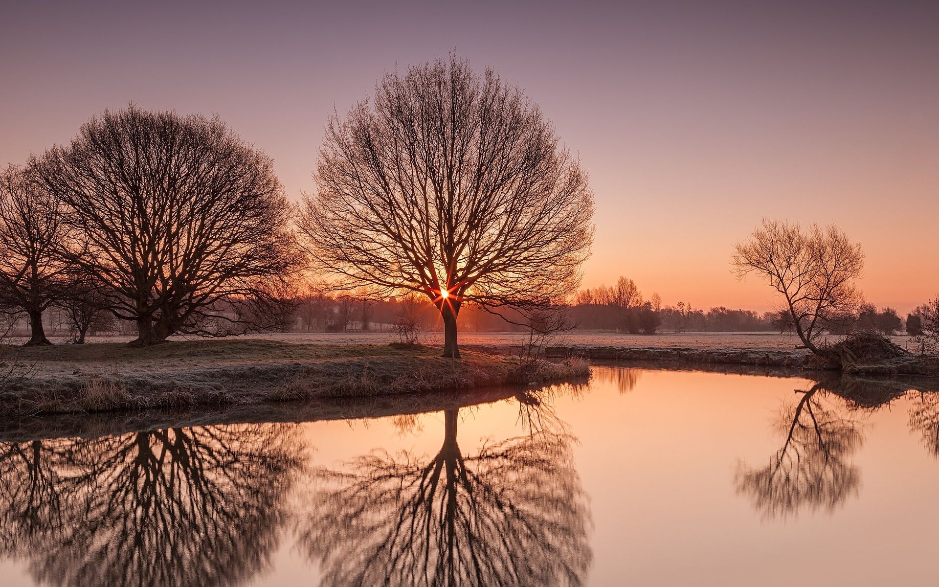 Wallpaper, 1920x1200 px, fog, frost, landscape, nature, night, reflection, river, sunrise, sunset, trees 1920x1200