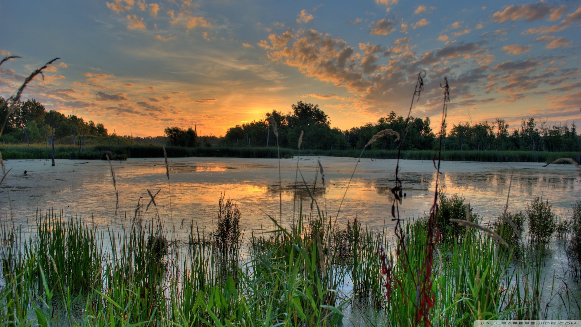 Sunrise over the lake wallpaper. National wildlife refuge, Nature desktop wallpaper, Wetland