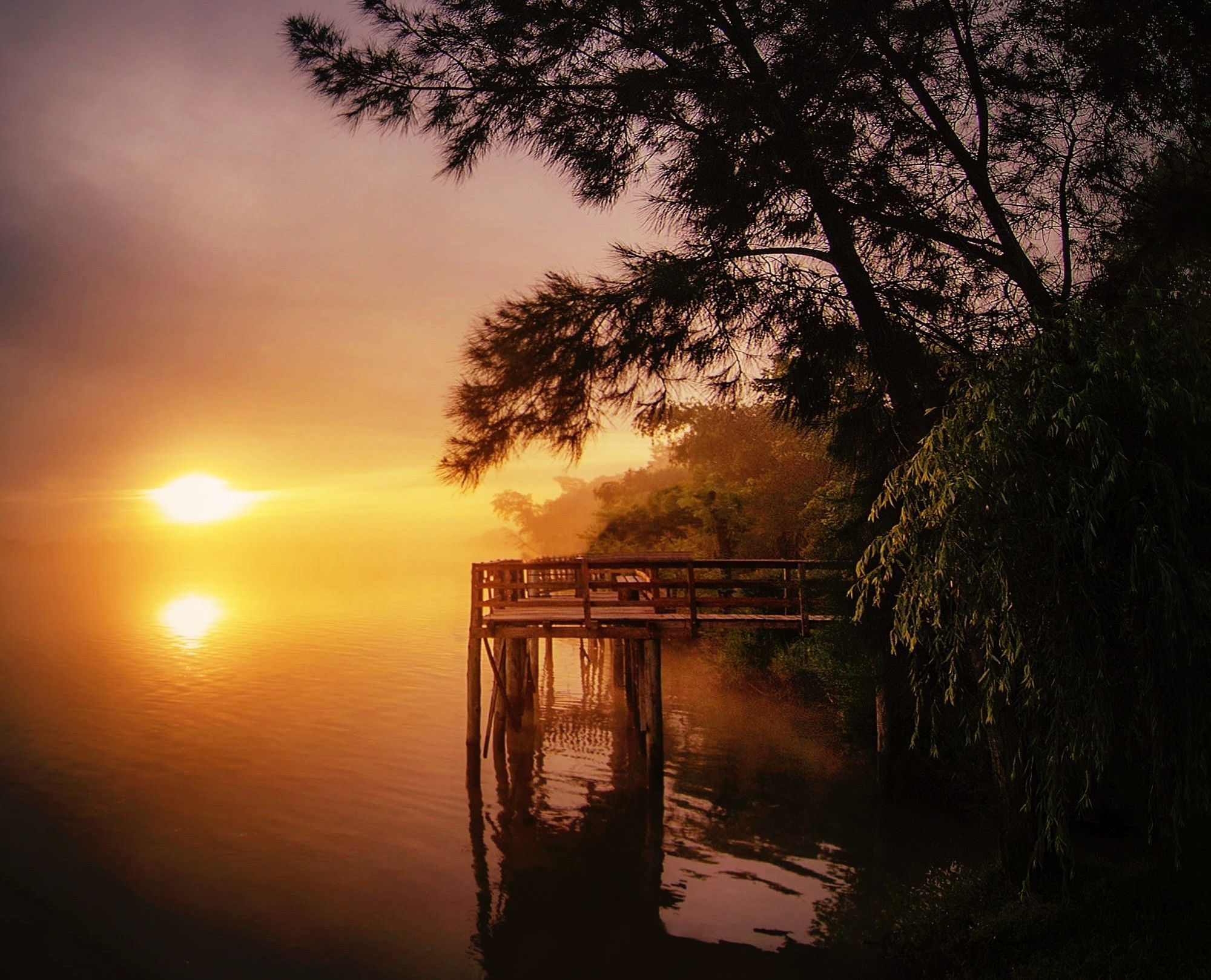 river pier sunrise landscape nature trees water argentina mist morning wallpaper