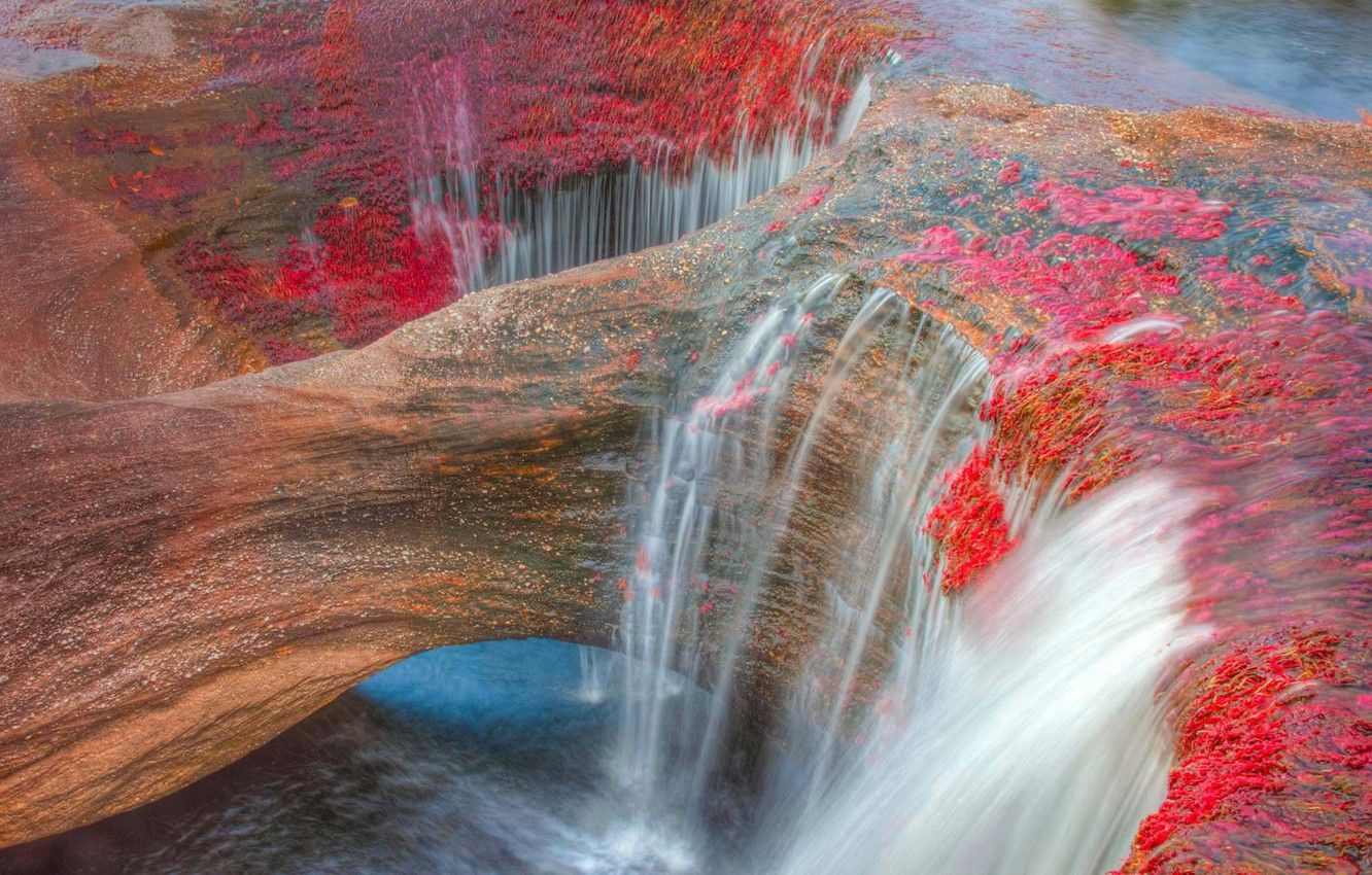 Wallpaper mountains, river, Colombia, Caño Cristales, The Serrania de La Macarena image for desktop, section природа