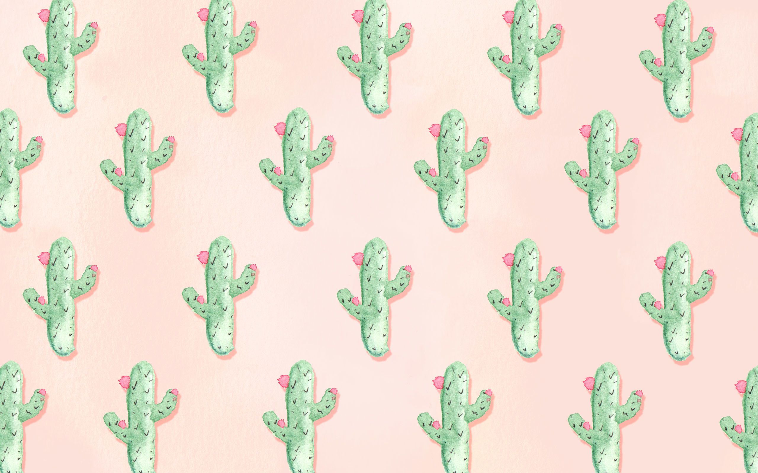 Cactus Desktop Wallpaper