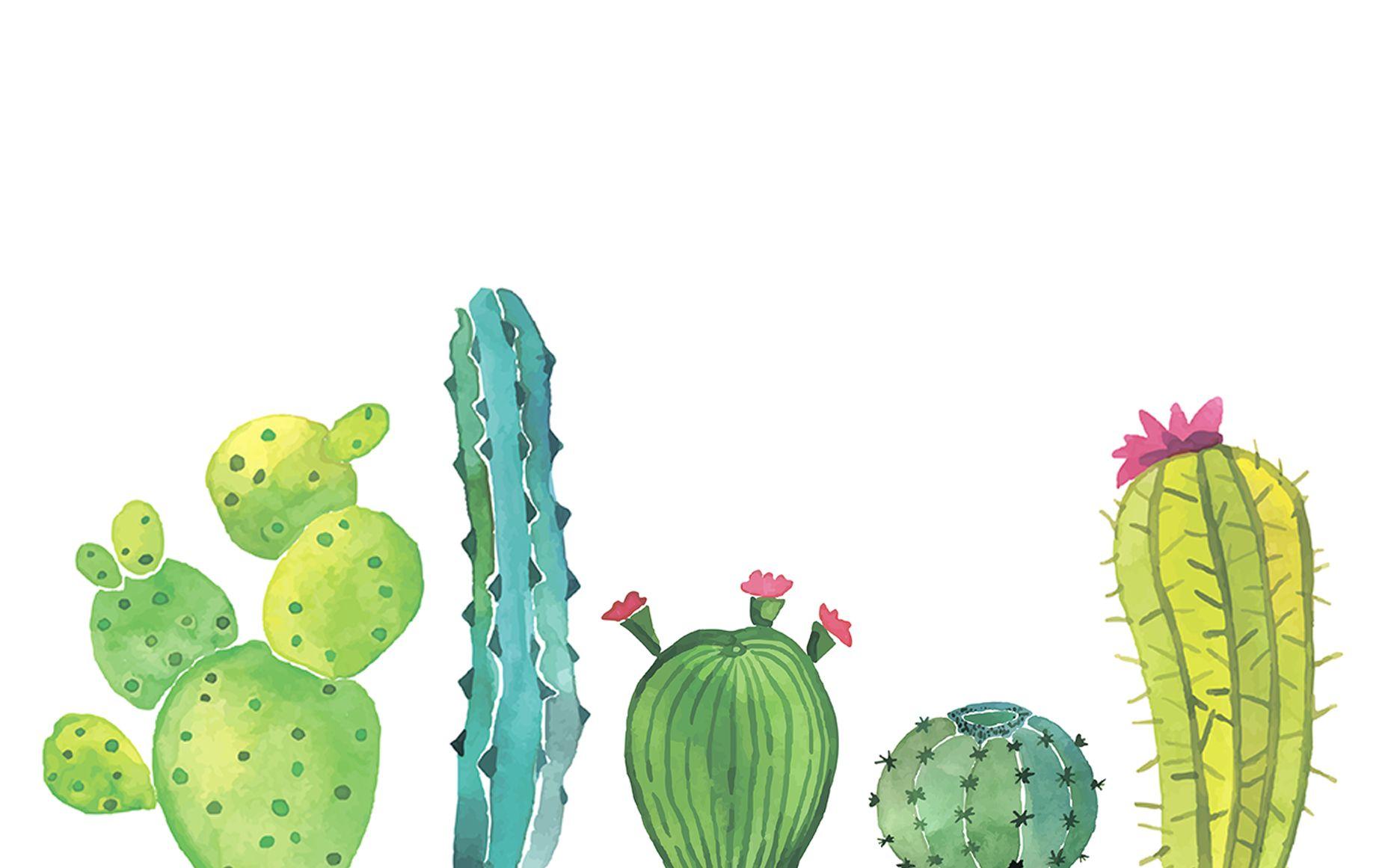 Cute Cactus Desktop Wallpaper