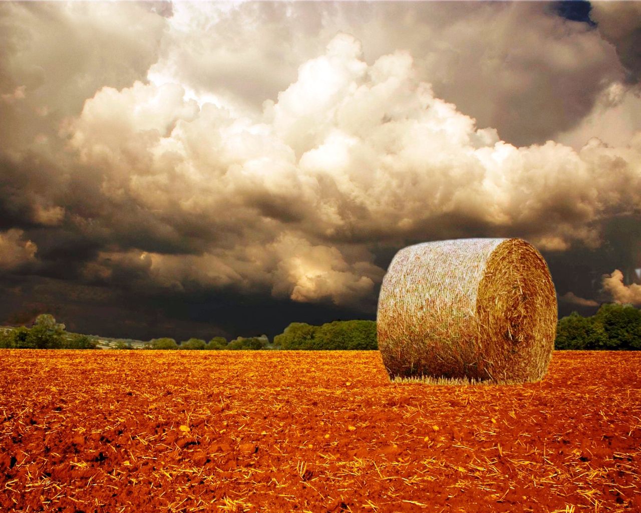 Cloudy summer nature