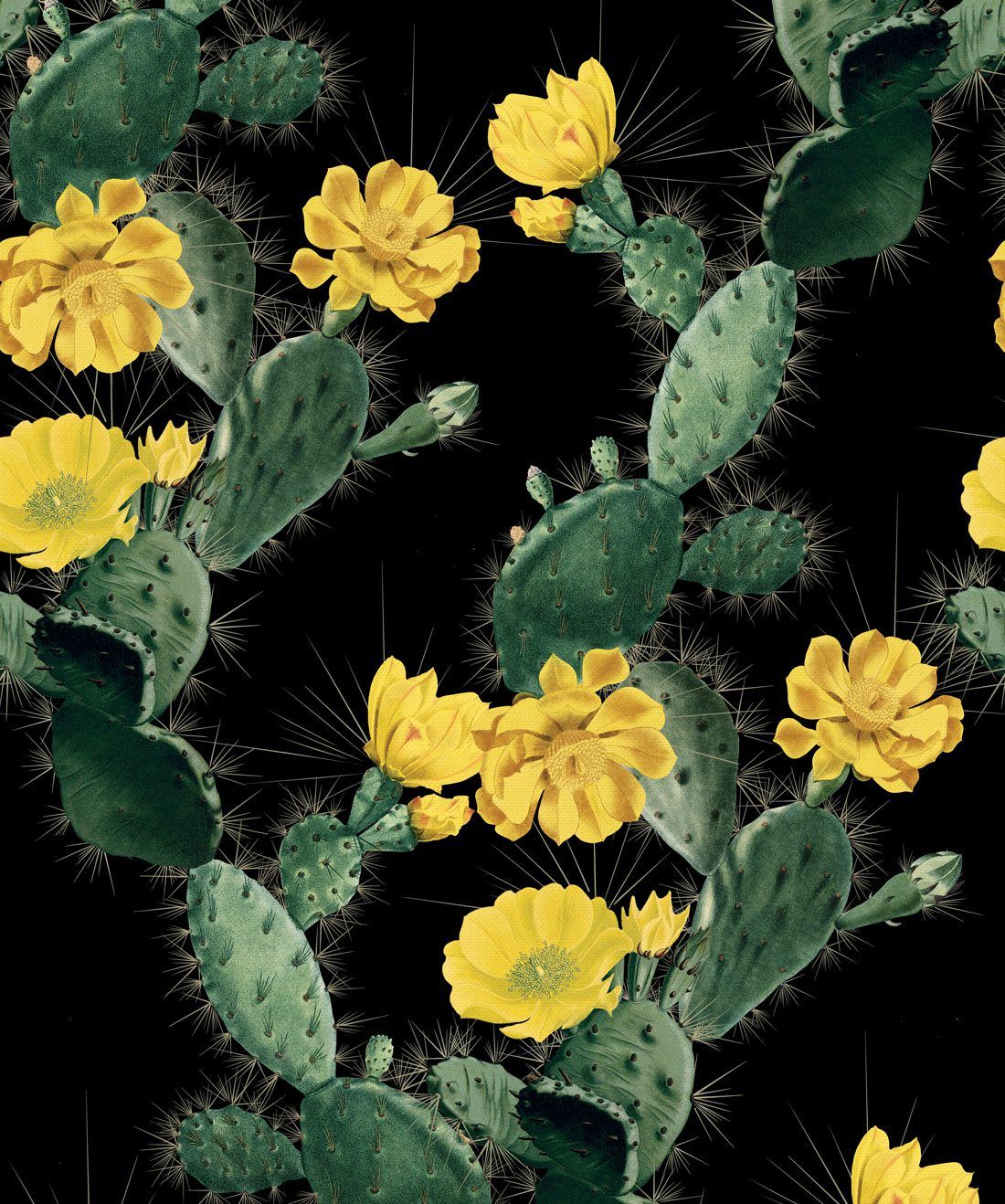 Alluring Cactus Wallpaper • Bold Bright Cacti Design