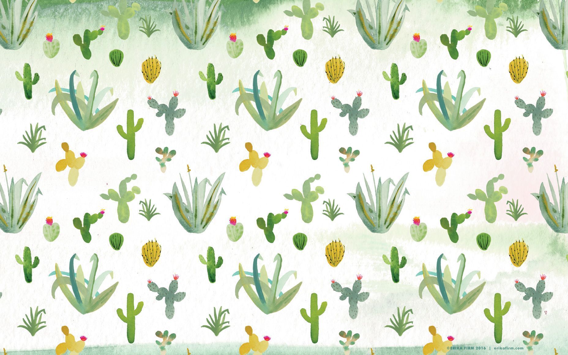 Cactus Desktop Wallpaper