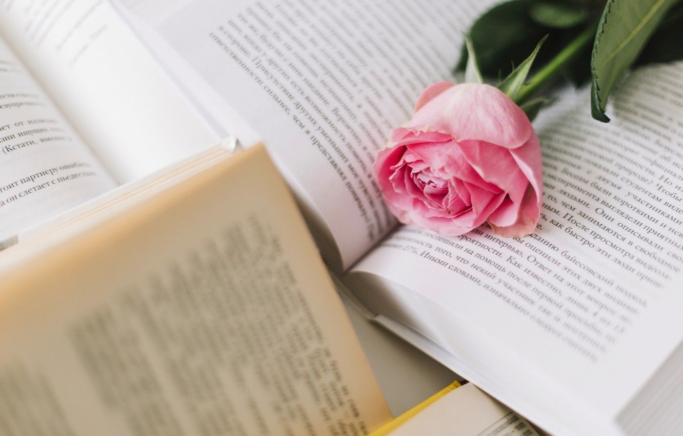 Books and Flowers Wallpaper Free Books and Flowers Background