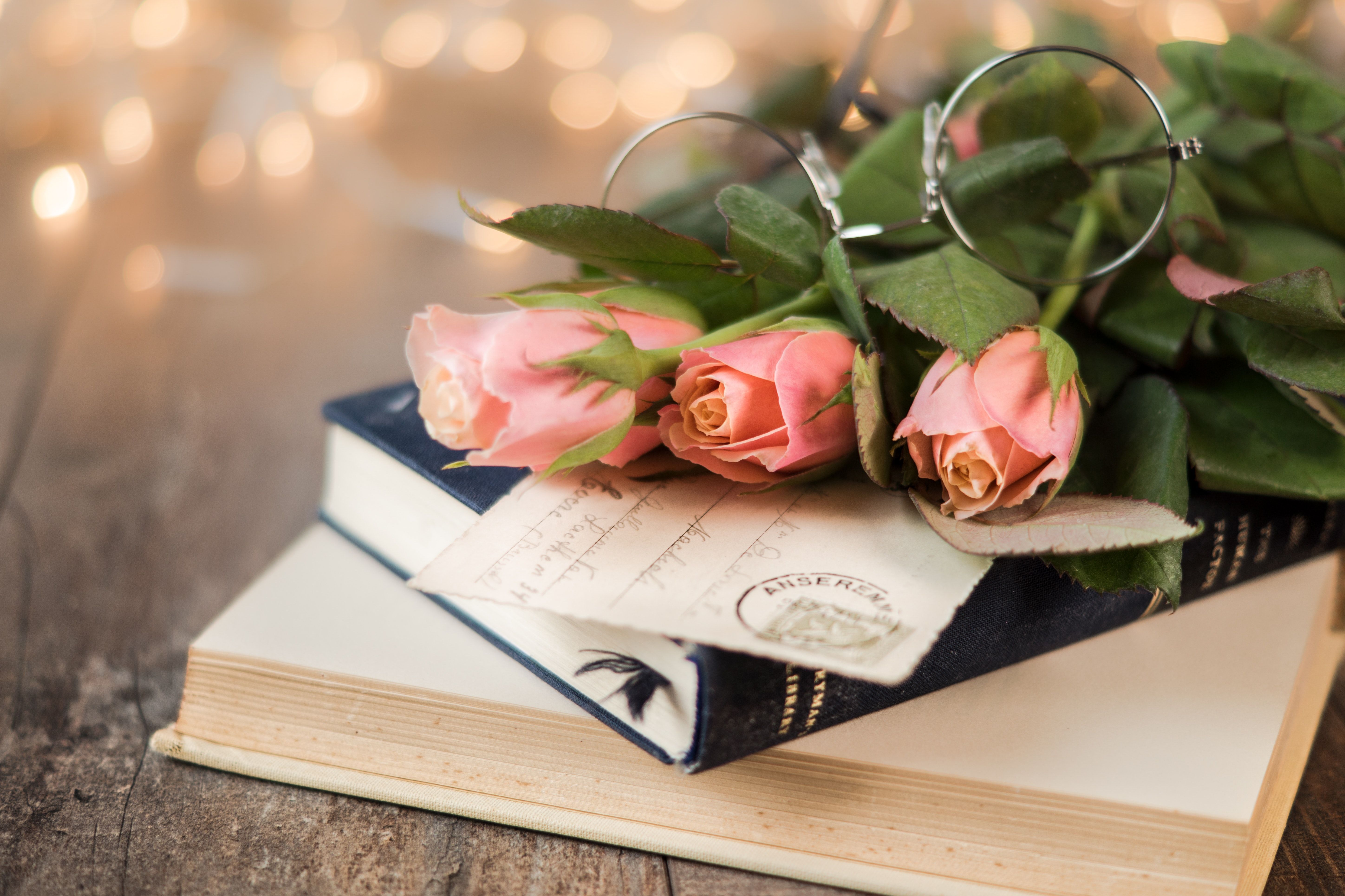 Pink Rose Flowers and Book · Free