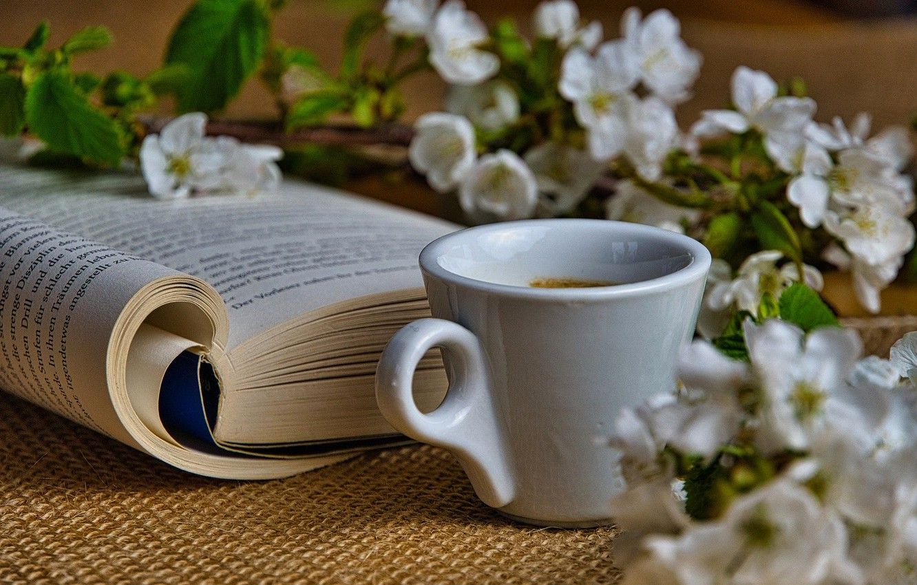 Wallpaper mood, coffee, branch, Cup, book image for desktop, section настроения