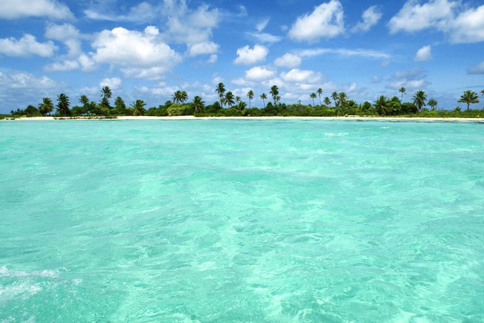 Summer Laptop Wallpaper