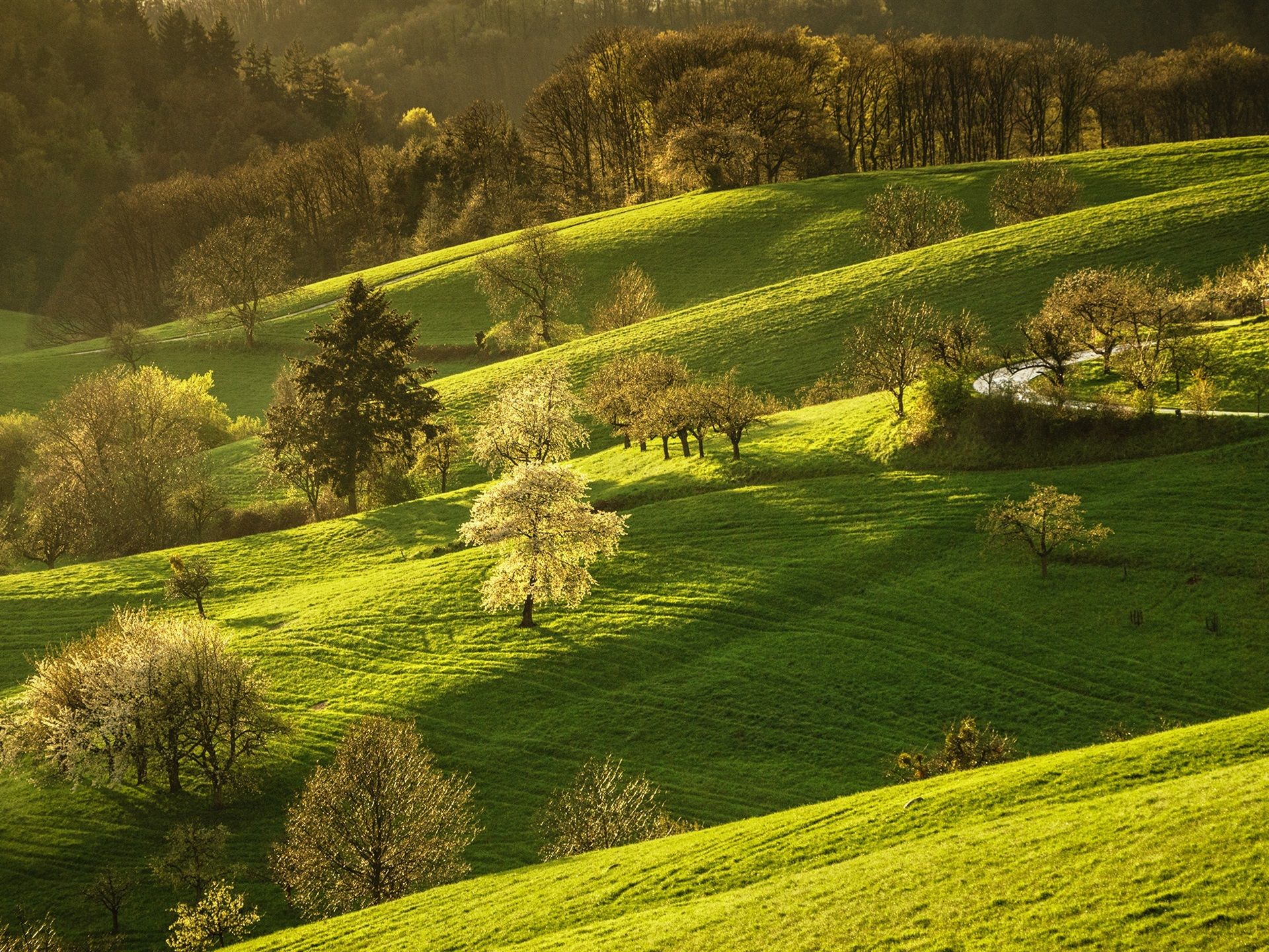 Wallpaper Germany, nature scenery, grass, trees, hills, spring 1920x1440 HD Picture, Image