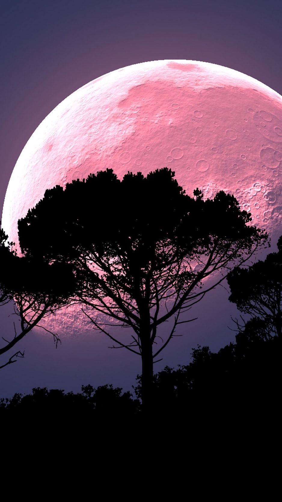 Pink Moon Wallpaper Free Pink Moon Background