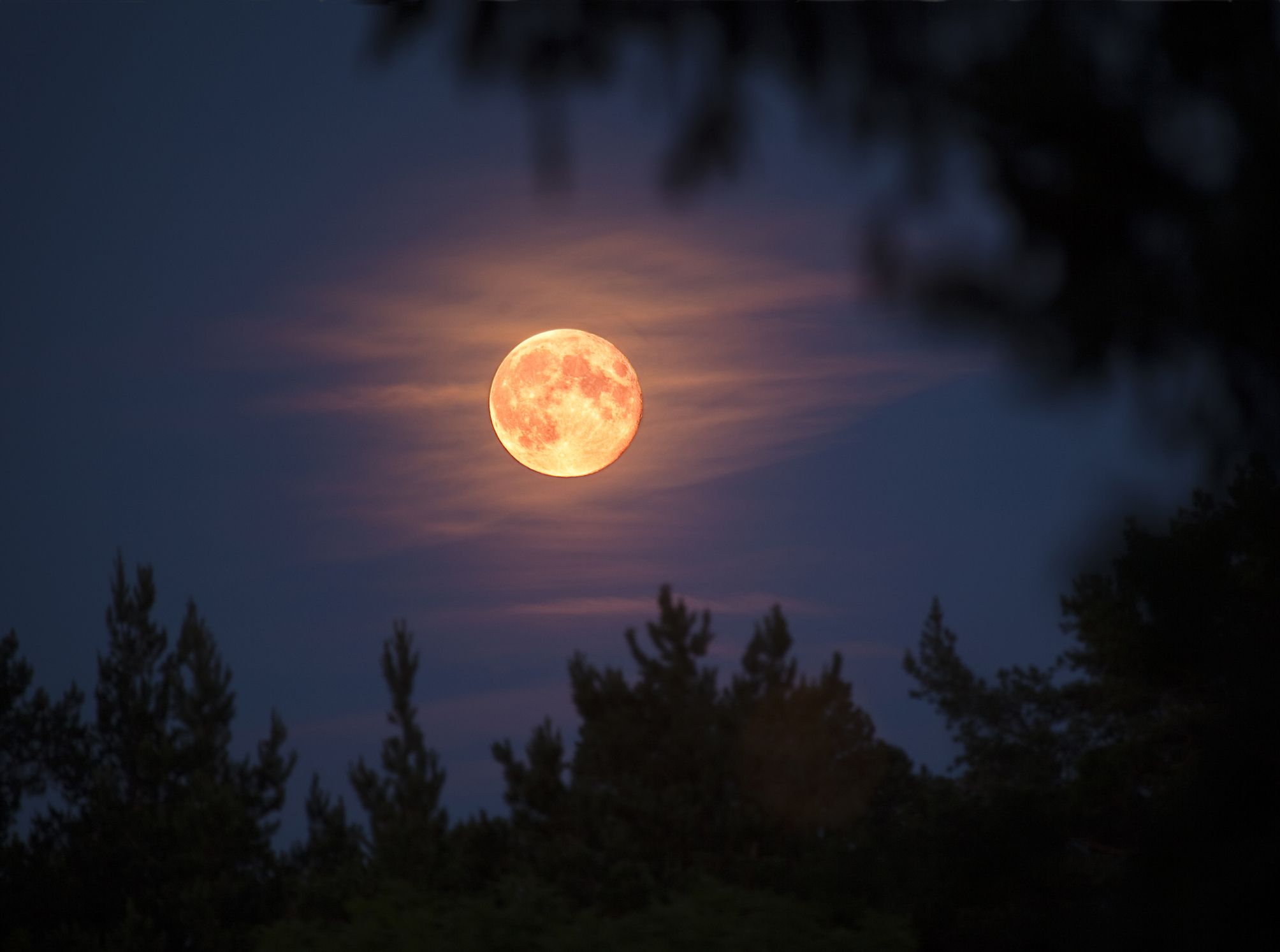April's Super Pink Moon: When to See The Biggest Supermoon of 2021