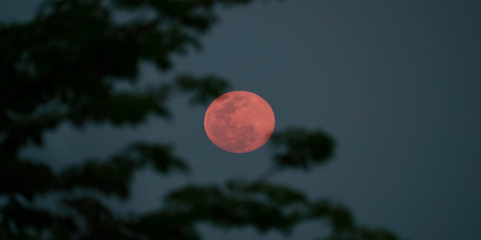 Full moon: Pink moon is also super moon. Here's how to view it