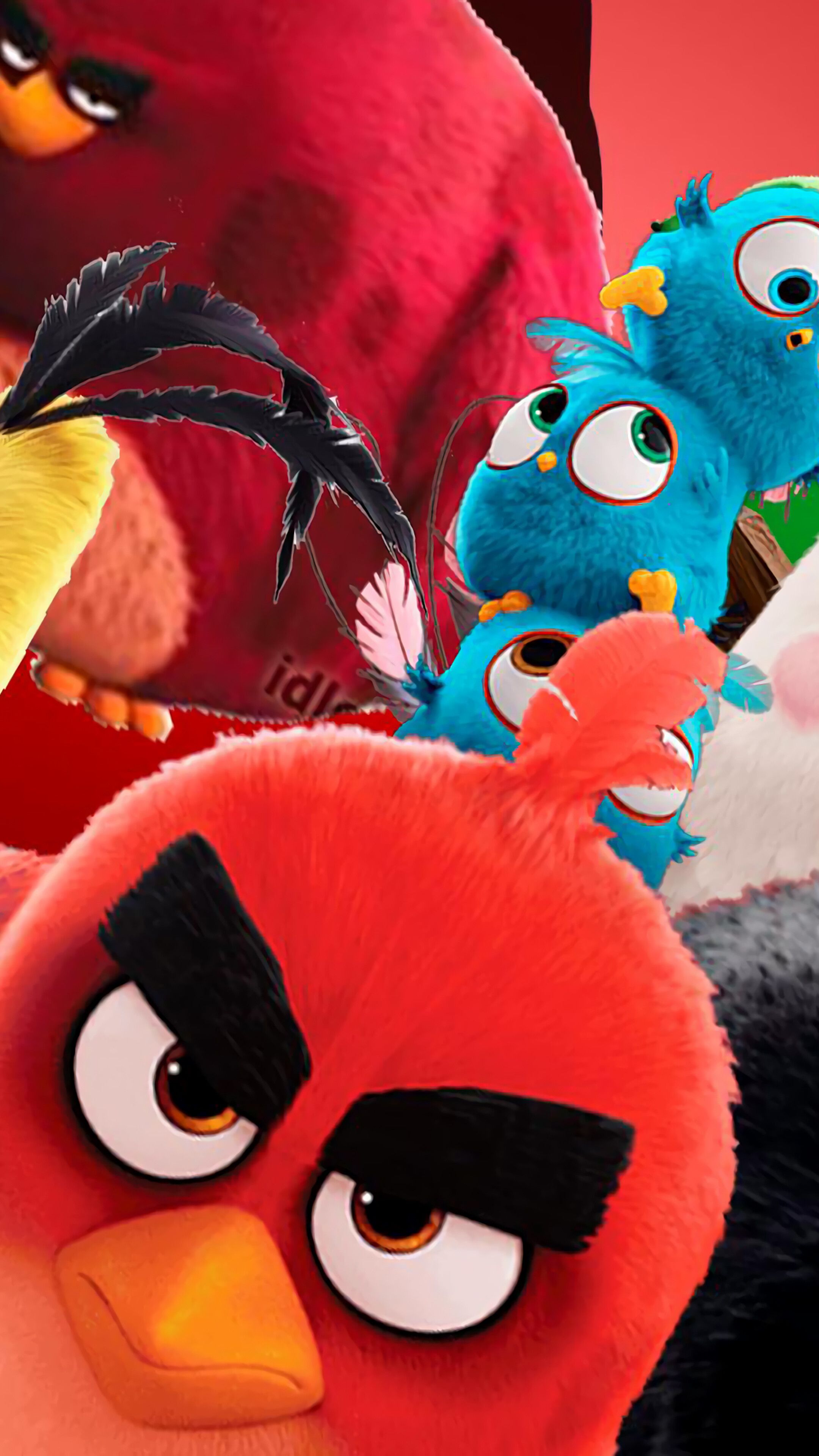 Angry Birds Movie Characters, 4K phone HD Wallpaper, Image, Background, Photo and Picture. Mocah HD Wallpaper