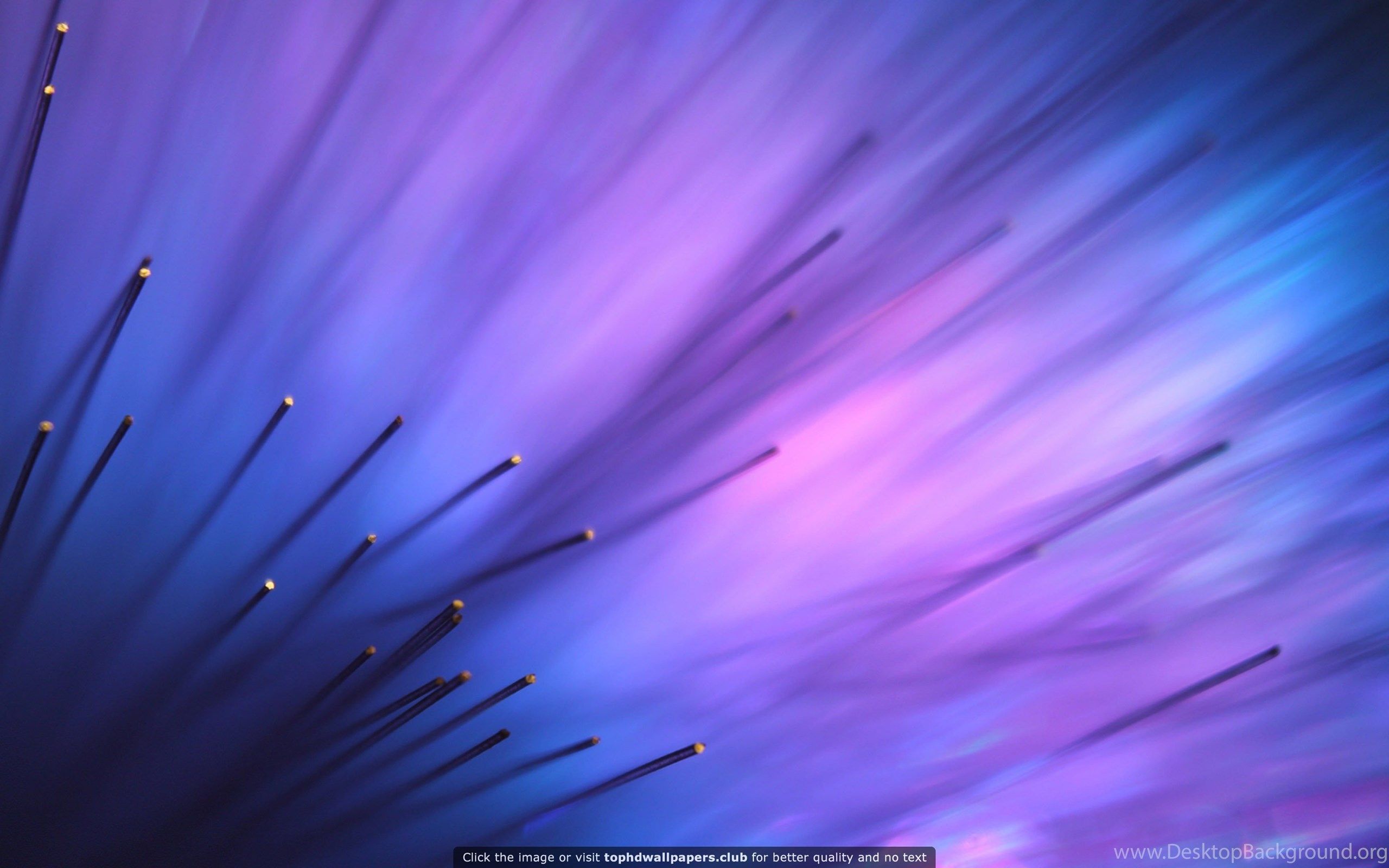 Purple Light Aurora 4K Or HD Wallpaper For Your PC, Mac Or Mobile. Desktop Background