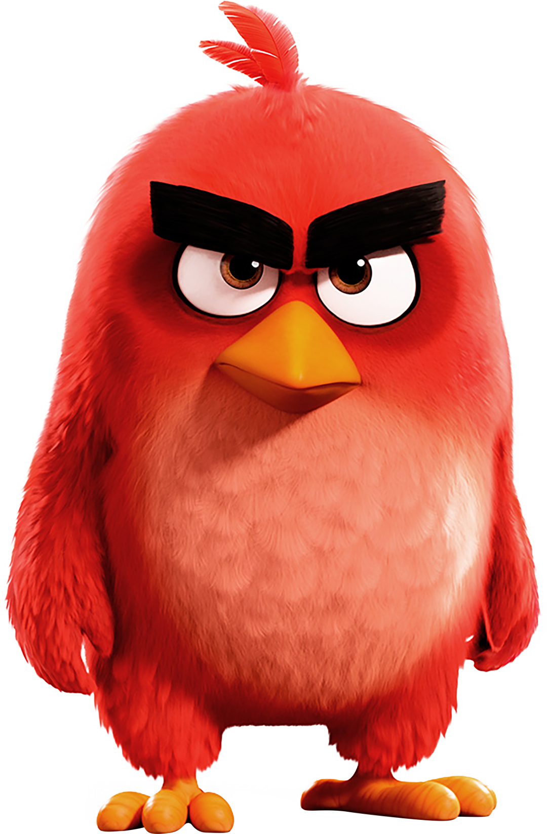 The Angry Birds Movie Angry Birds Pelicula