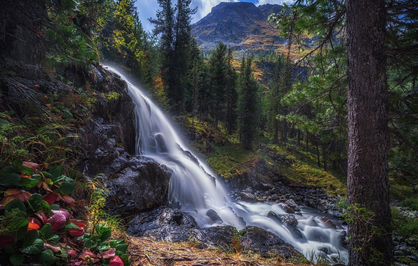 Wallpaper forest, trees, waterfall, Russia, Altay, Katunskiy biosphere reserve, Alena Ruban image for desktop, section пейзажи