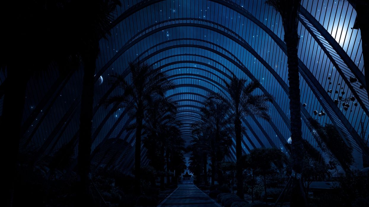 Night plants artwork skies biosphere wallpaperx1080