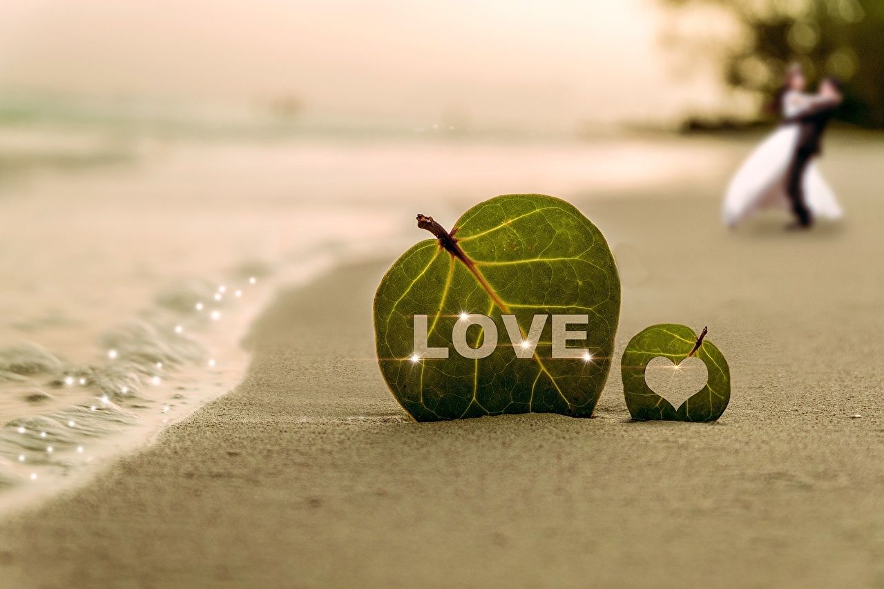 Wallpaper Leaf lovers Heart beaches Sea Love Nature Coast